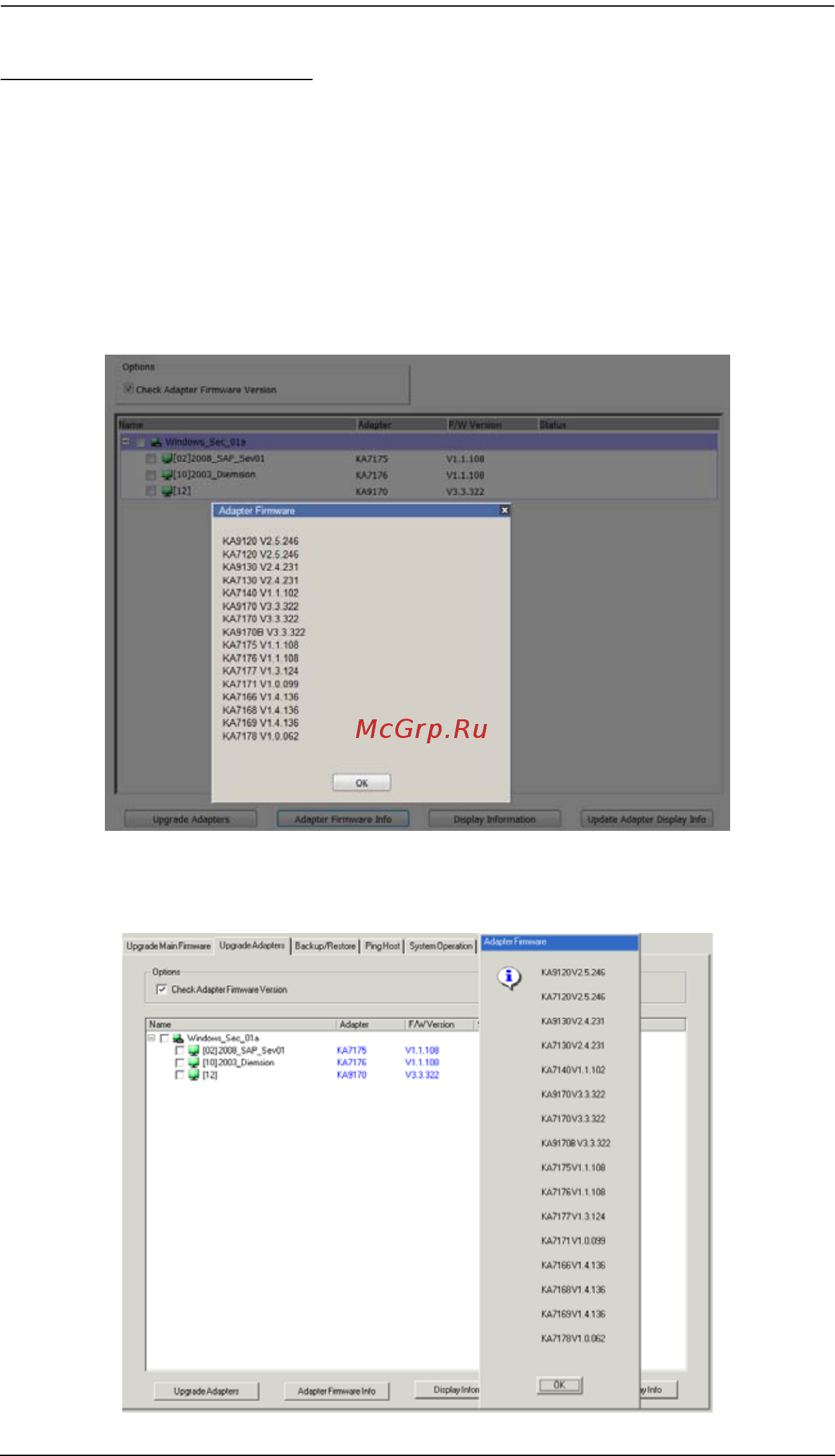 Aten KN2124VA [202/287] Adapter firmware info