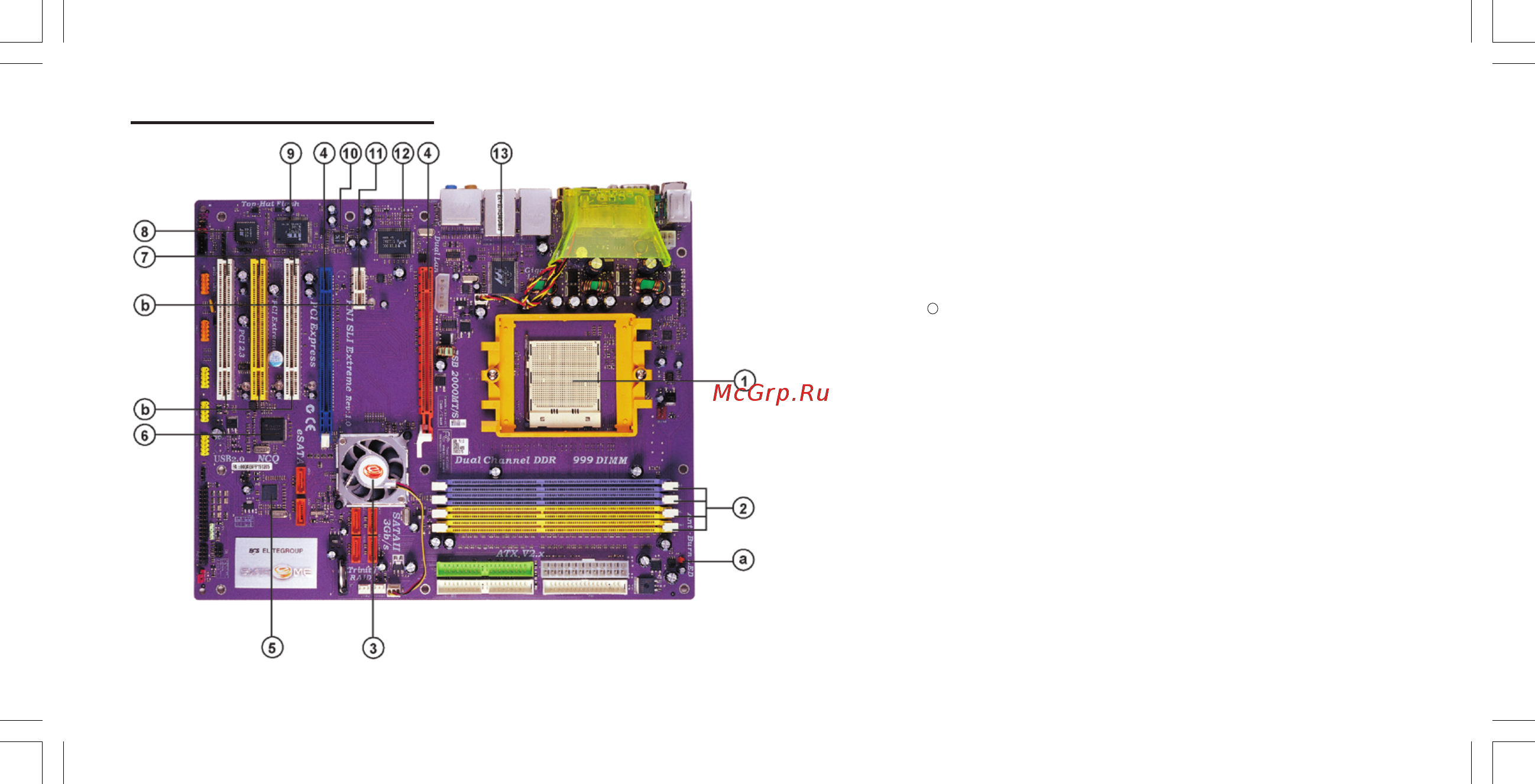 ECS Elitegroup KN1 SLI Extreme [10/88] Major components