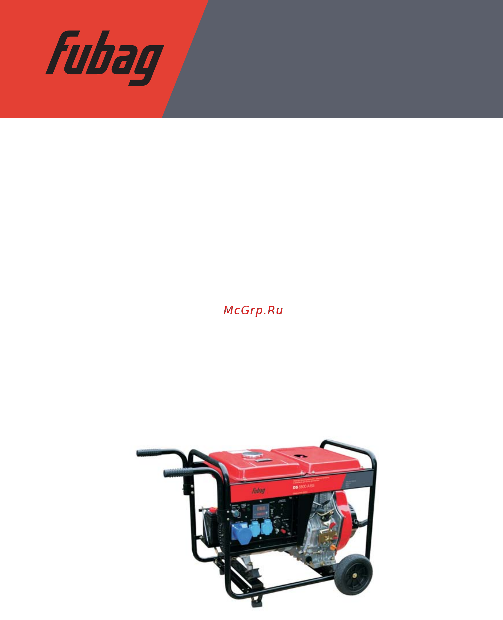 Fubag DS 5500 A ES Инструкция по эксплуатации онлайн
