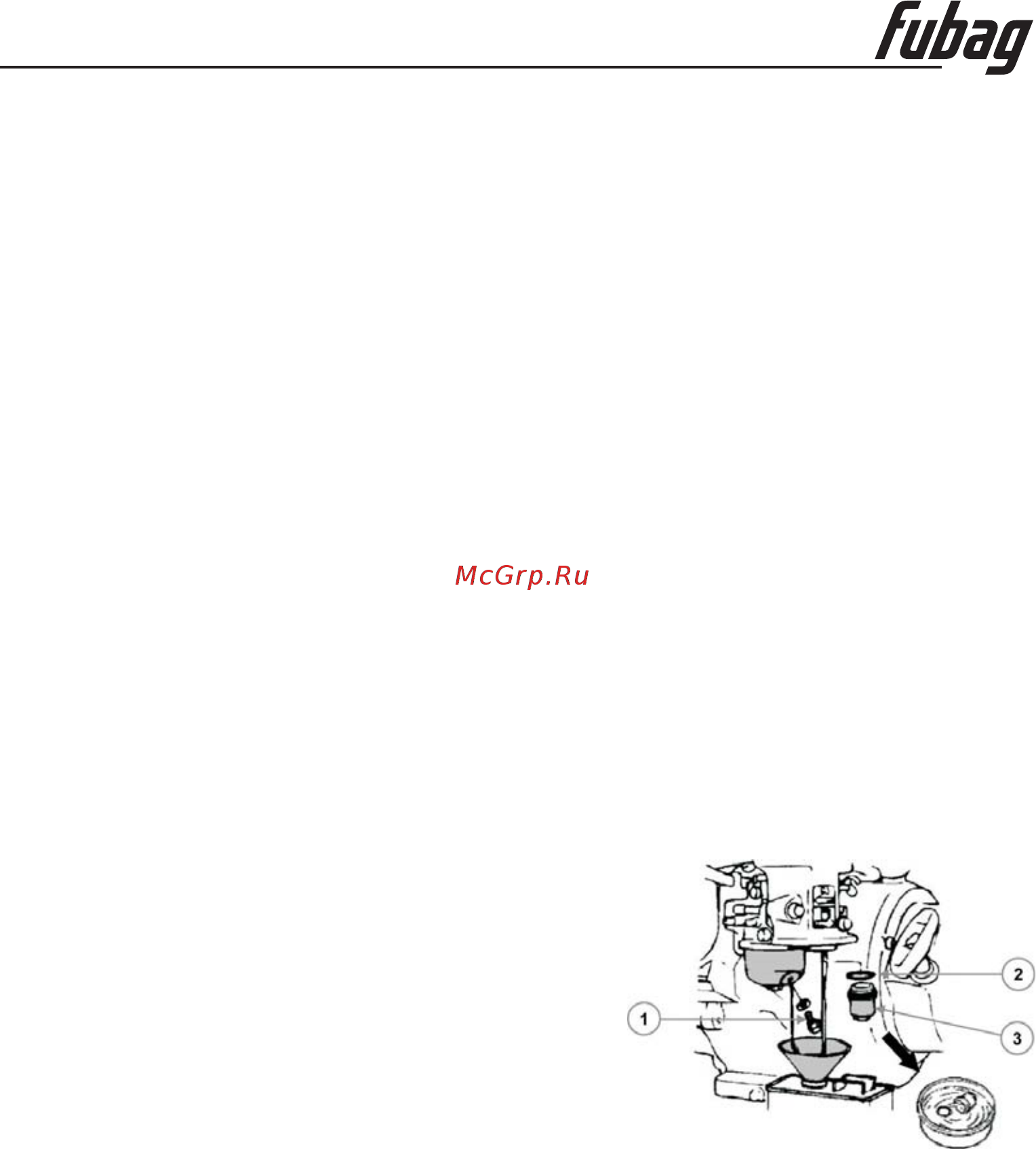 Fubag PG 600 [10/25] O m perator s anual