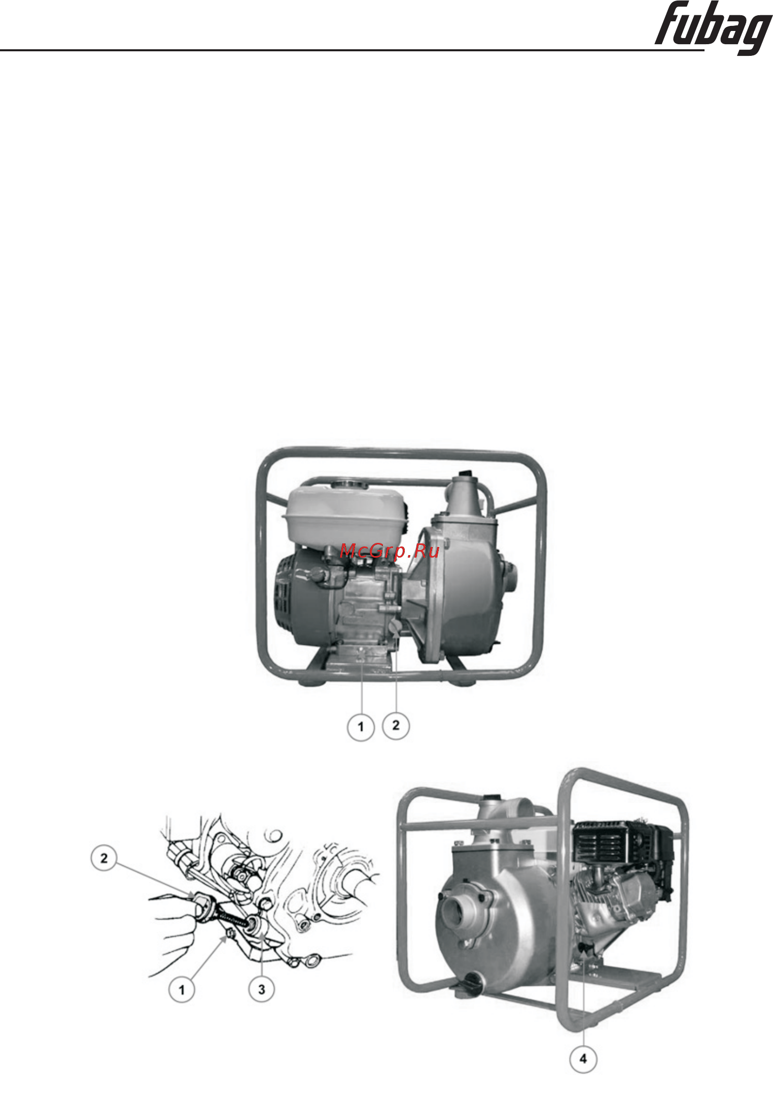 Fubag PG 600 838259 [18/25] Инструкция по эксплуатации