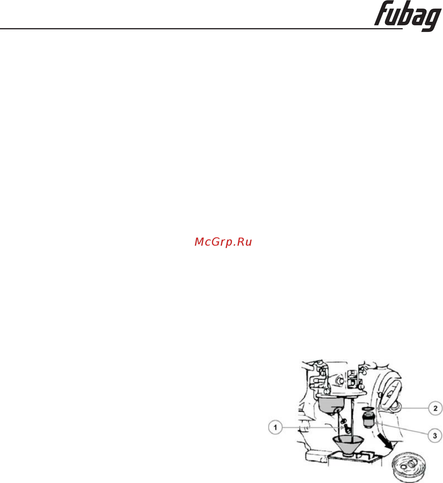 Fubag PG 600 [22/25] Инструкция по эксплуатации