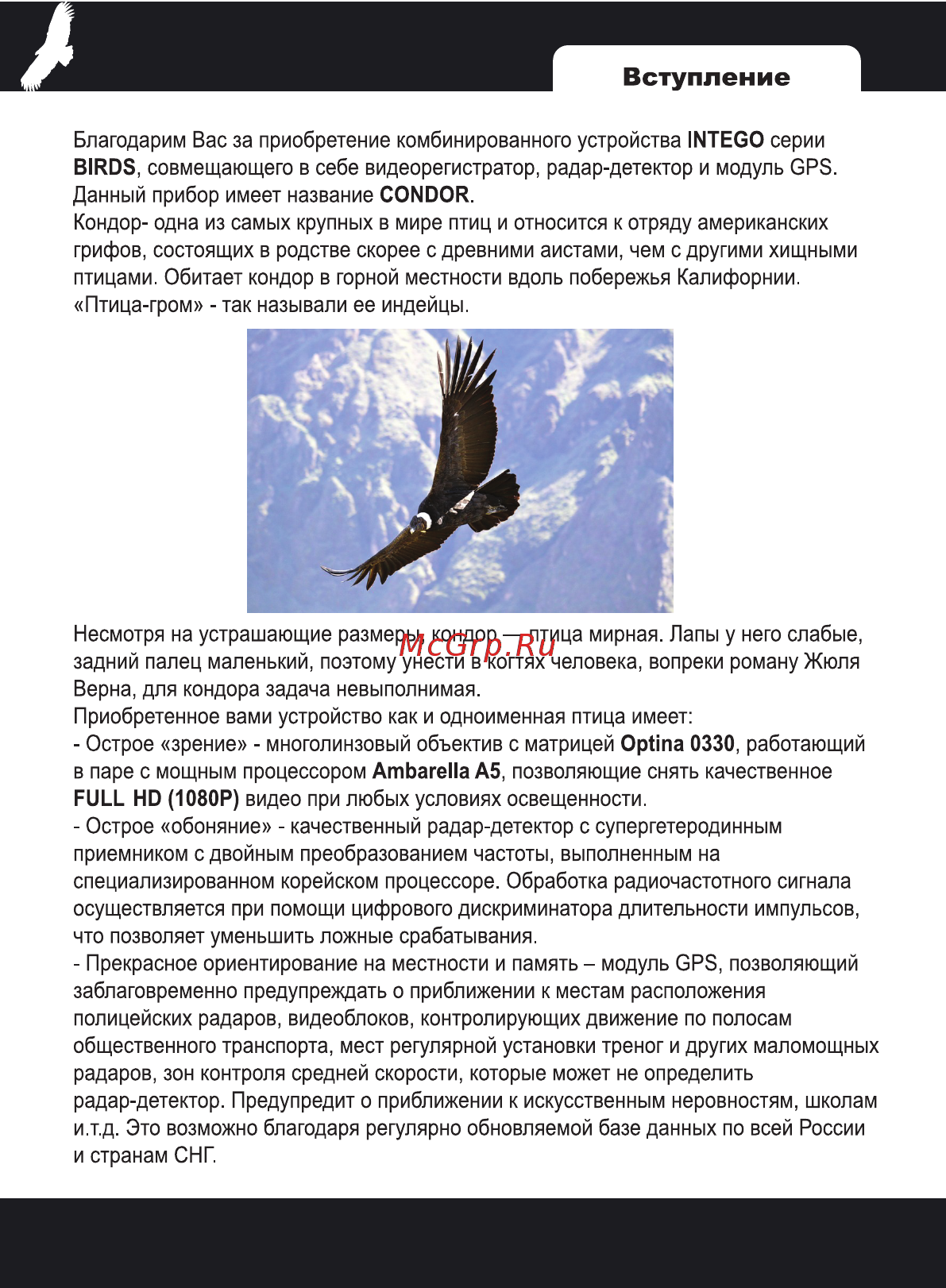 Intego CONDOR Руководство пользователя онлайн [4/20] 177300