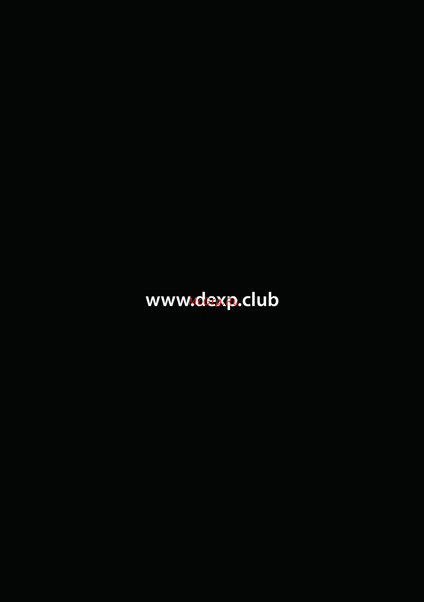 DEXP SB-10 [11/11] Пустая страница