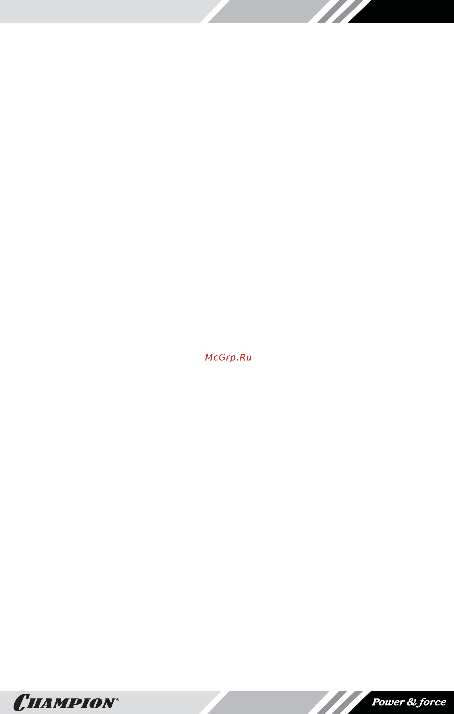 Champion BC5602BS.pdf [5/20] Меры предосторожности