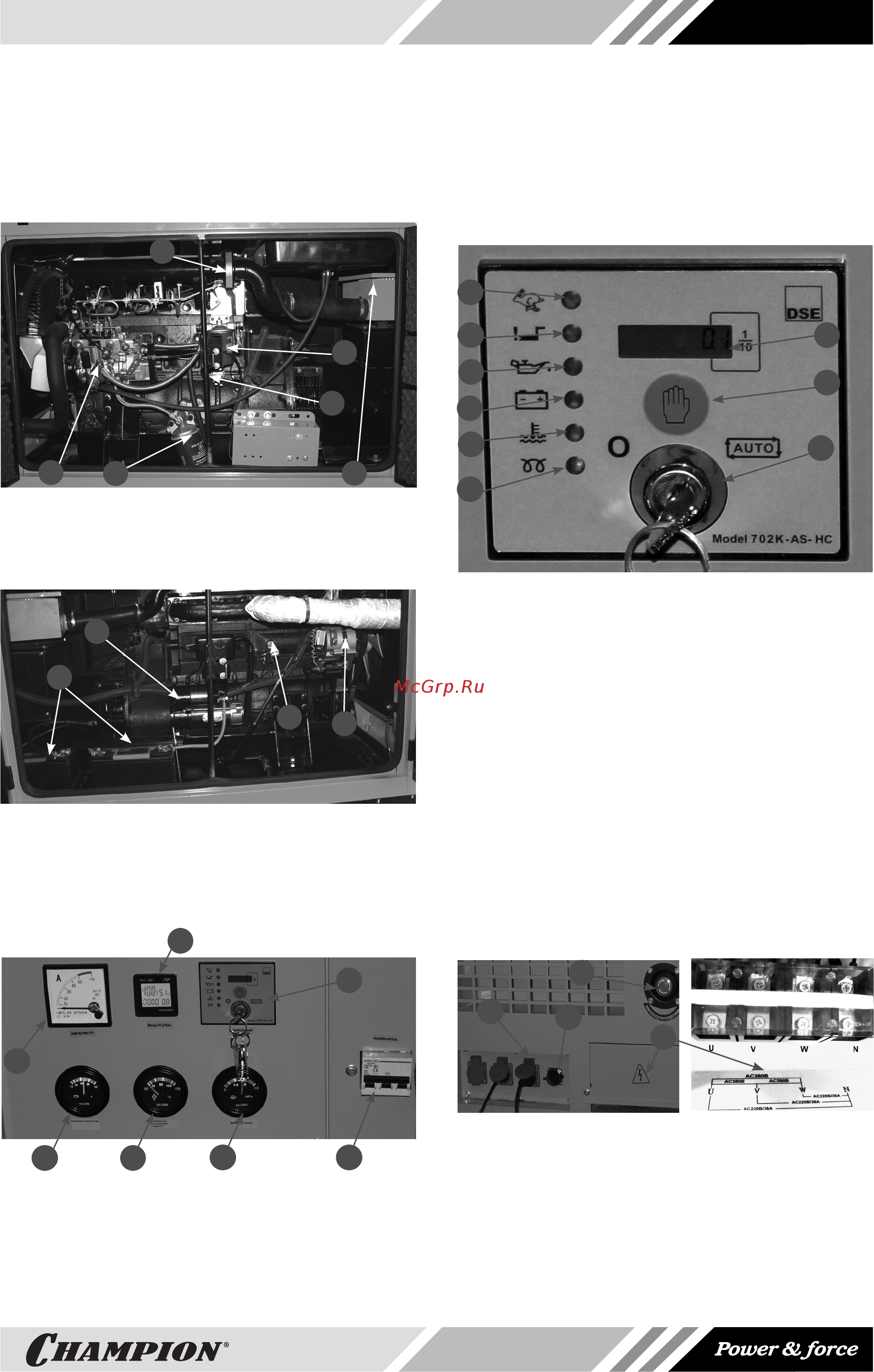 Champion DG20000ES-3 [7/20] И органов управления