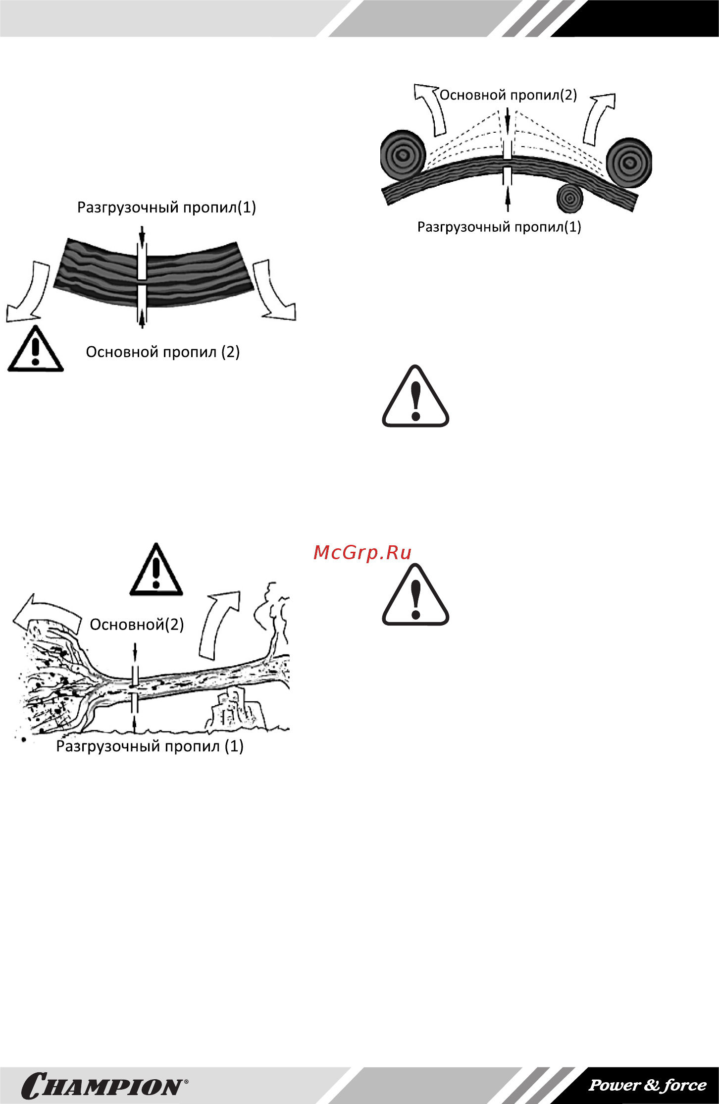 Champion 424N-18