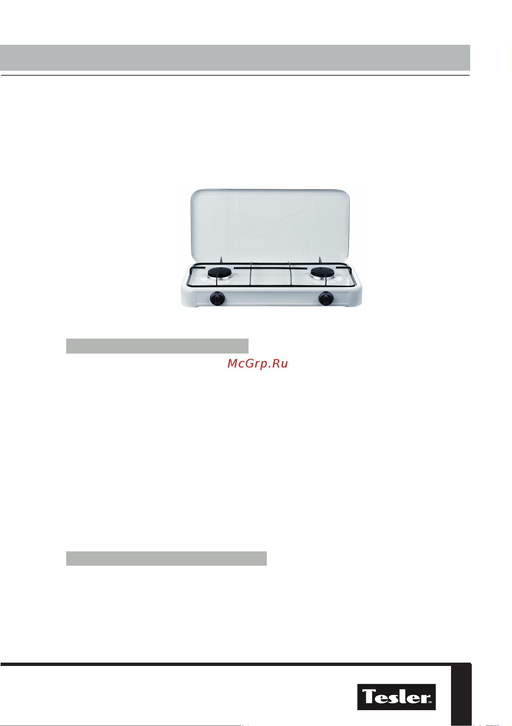 Tesler GS-20 [3/8] Перед началом эксплуатации