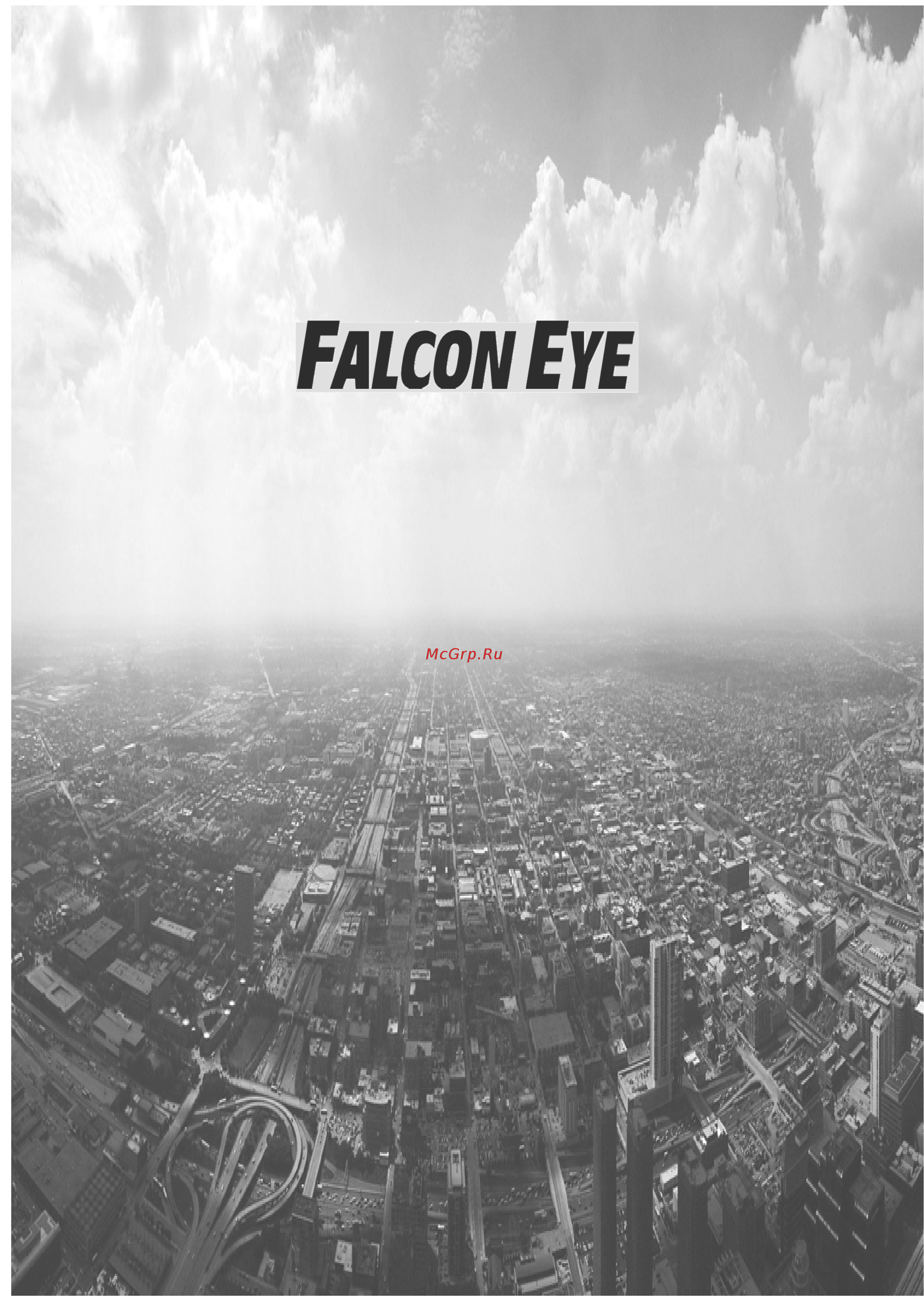 Falcon Eye fe-ipc-dl200p Инструкция по эксплуатации онлайн