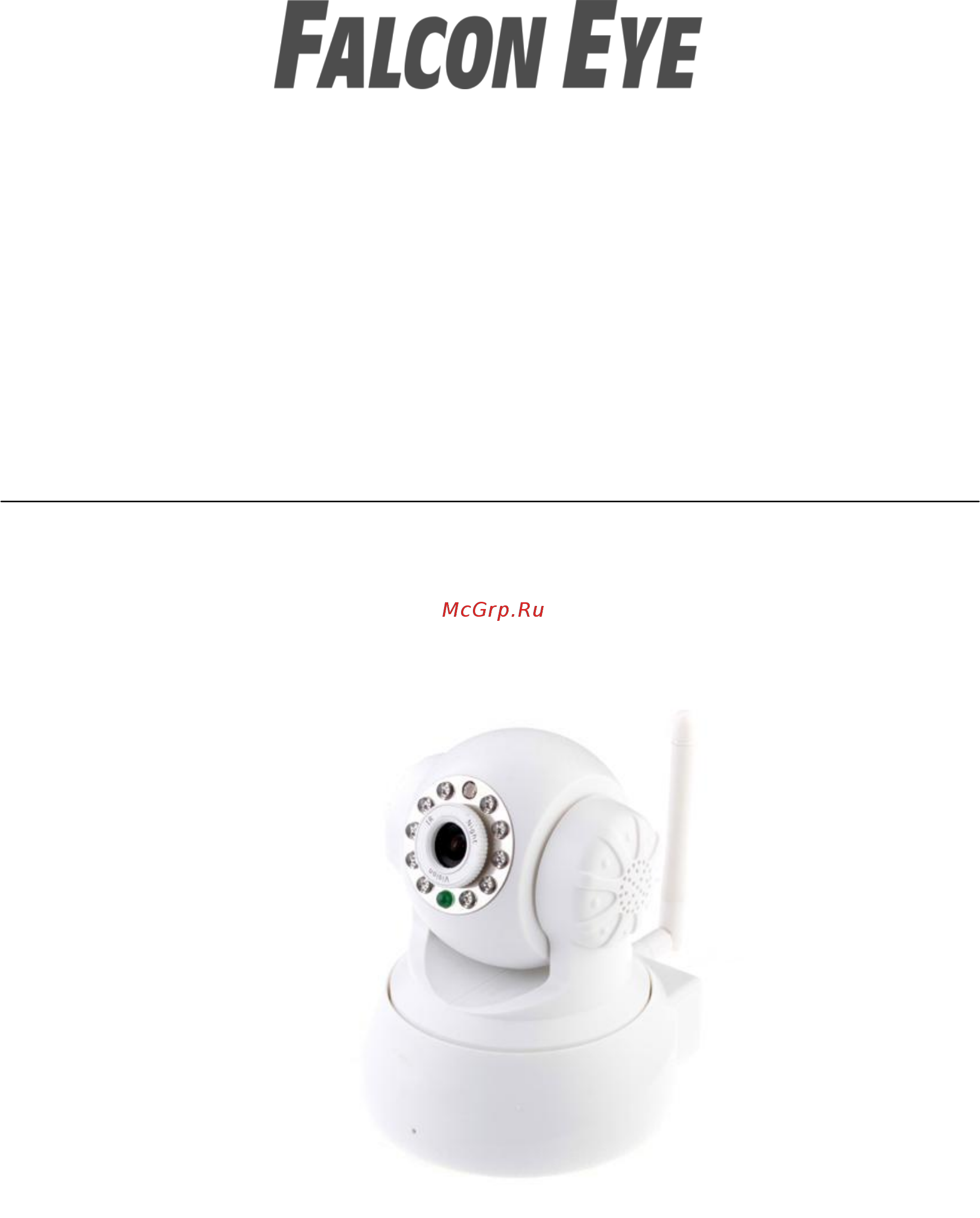 Falcon Eye FE-MTR300-P2P Руководство пользователя онлайн