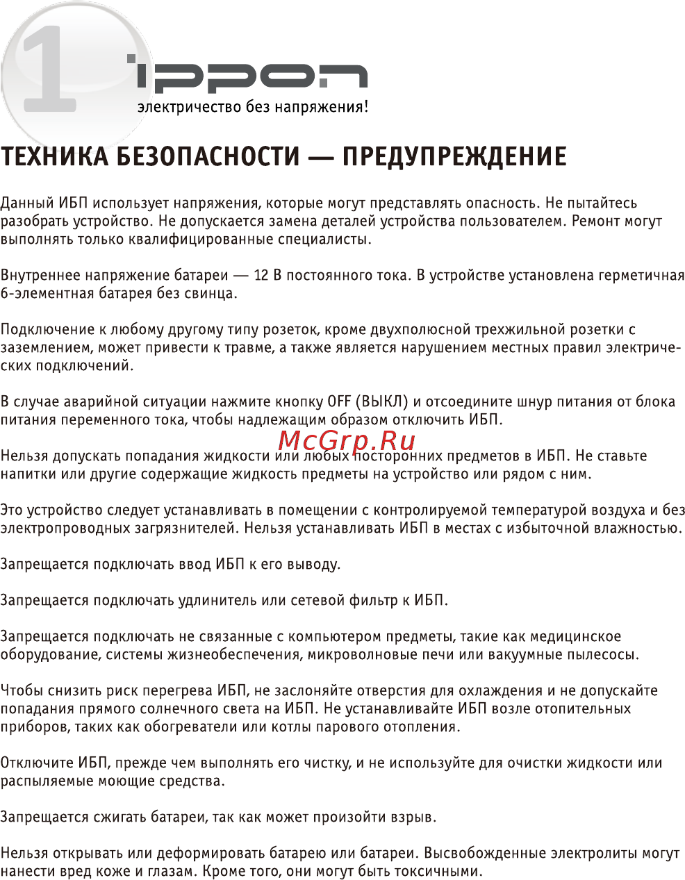 Ippon back basic 650va [2/10] Техника безопасности предупреждение