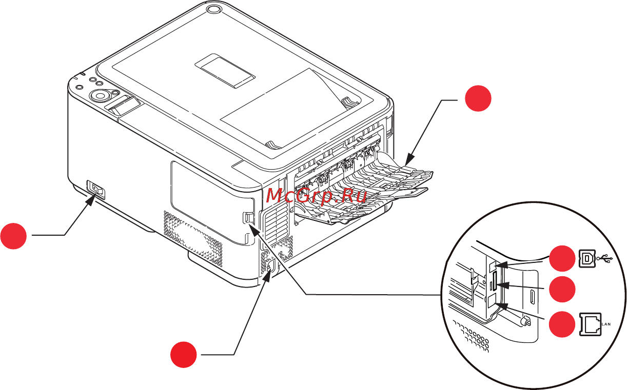 OKI C310dn [12/100] Вид сзади
