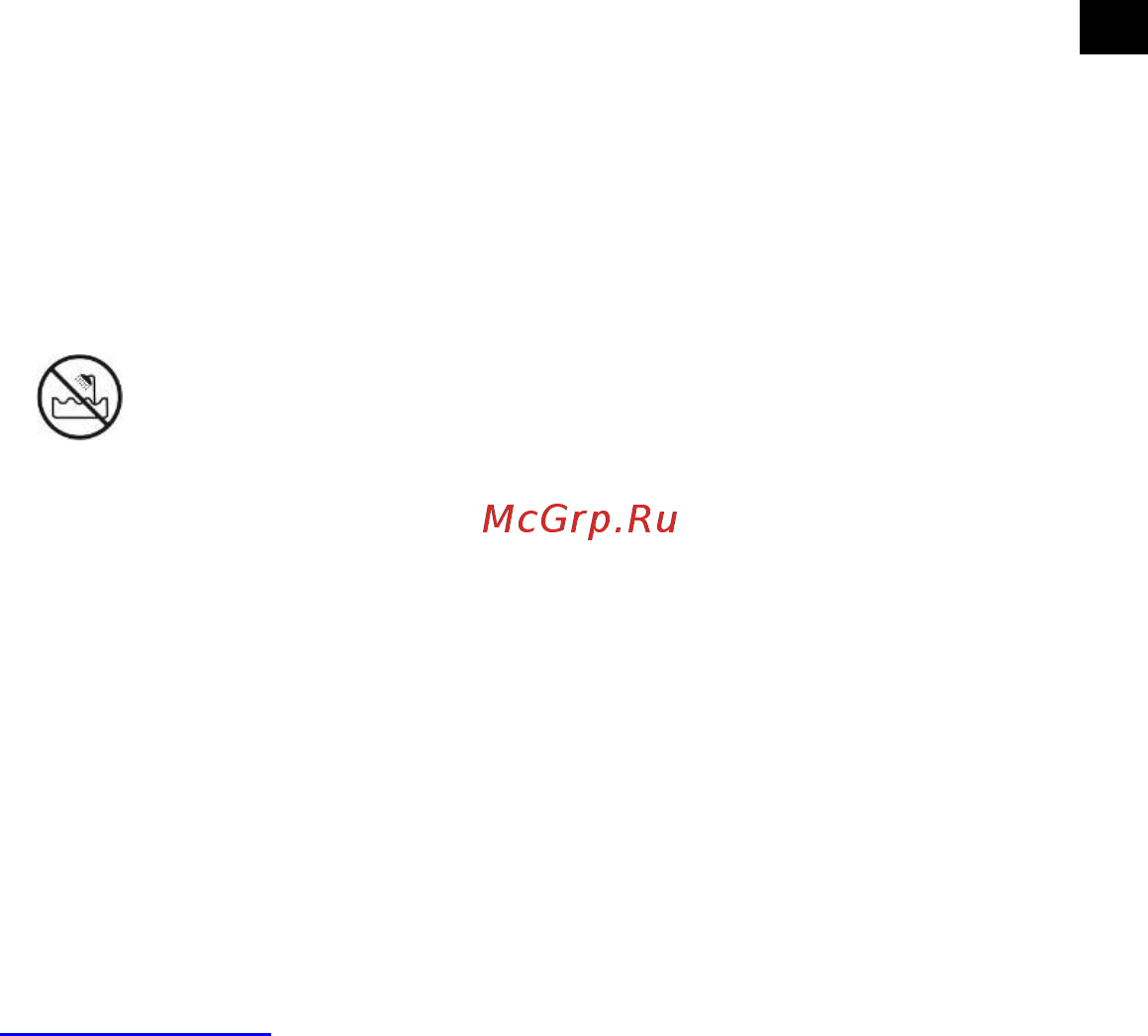 Scarlett SC-HAS7399 Brown [4/11] Круглая насадка