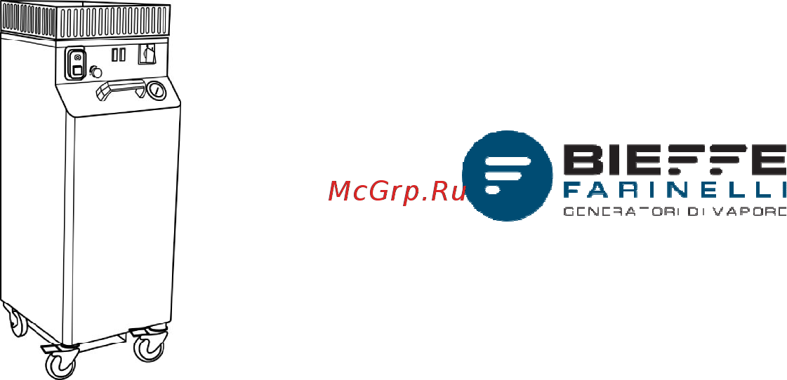 Bieffe steam 3000 в комплекте с аксессуарами bf420 Инструкция по эксплуатации онлайн