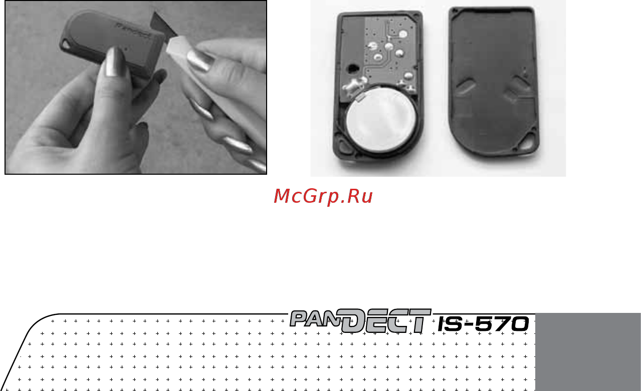 PanDECT IS-570i [5/20] При техобслуживании