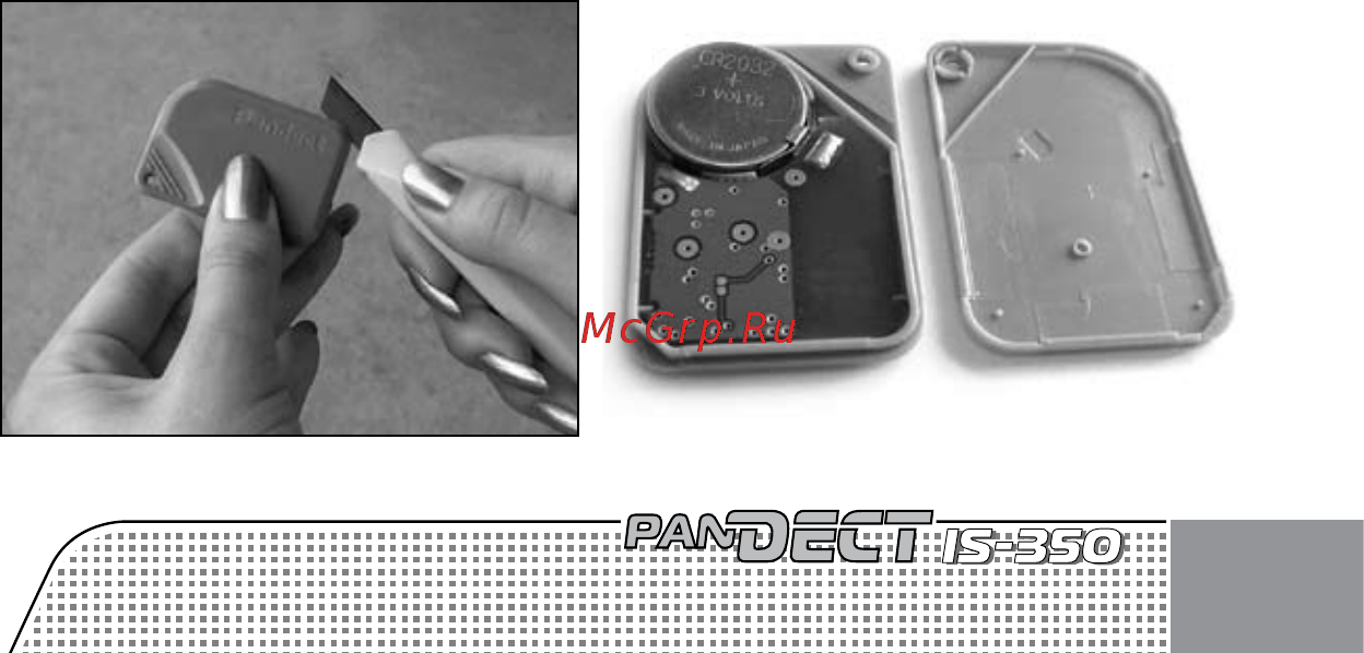 PanDECT IS-350i [3/12] Замена элемента питания брелока