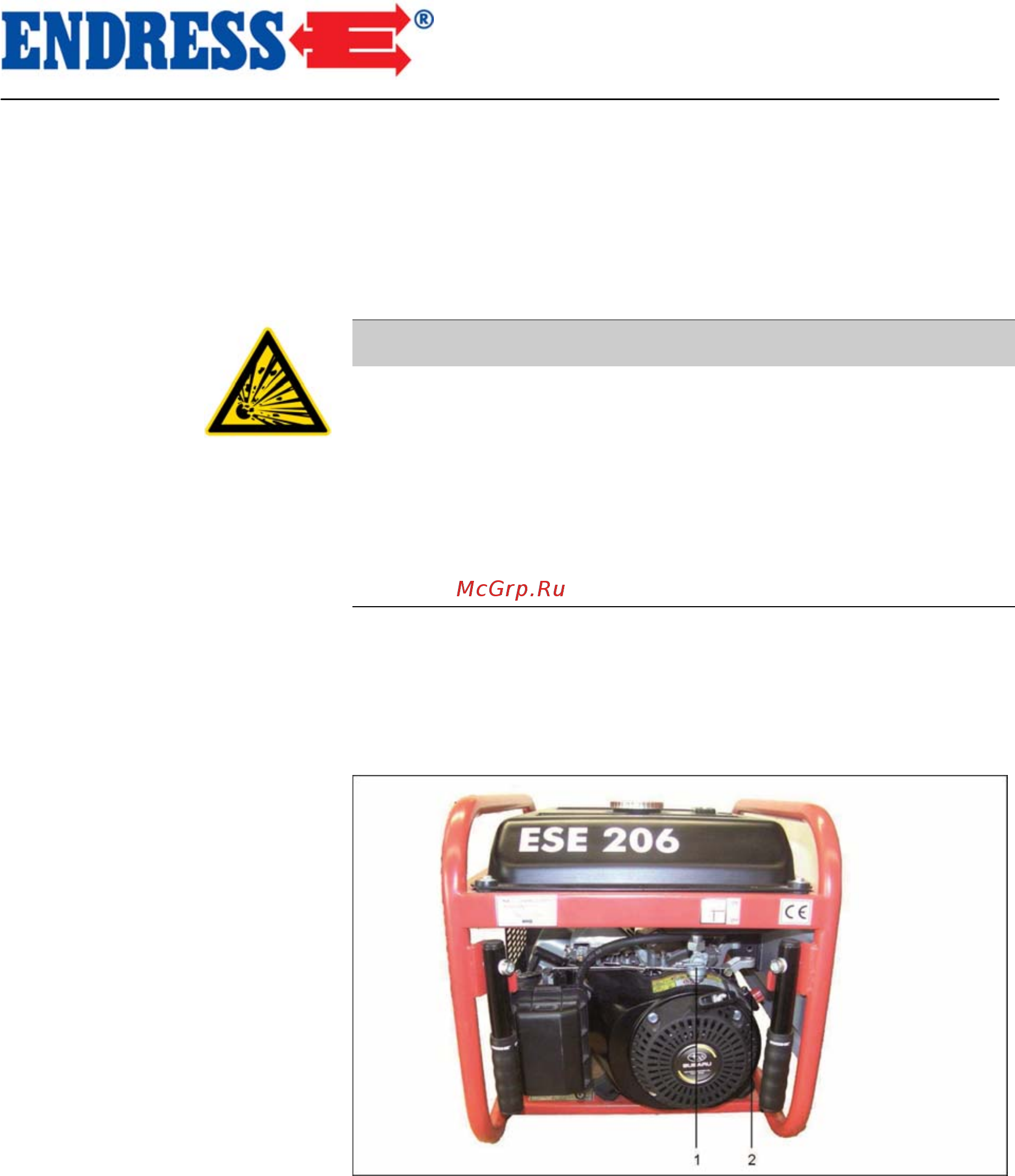 Endress ese 606 drs-gt 112203 [31/44] Ыключение генератора