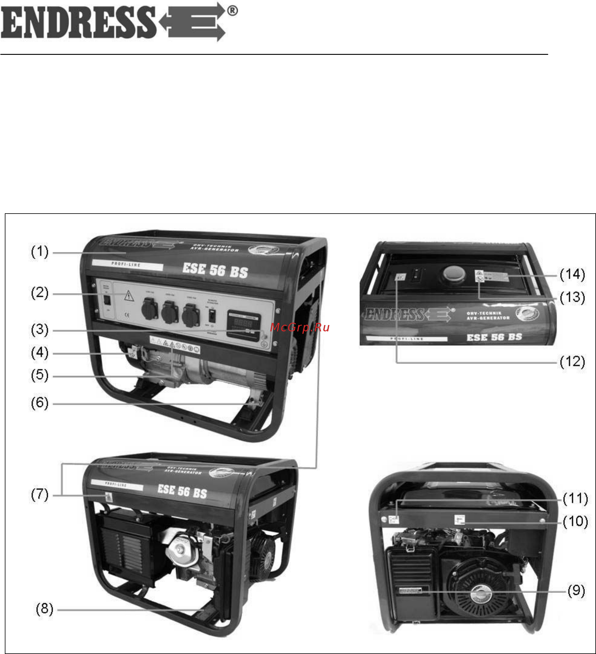 Endress ese 56 bs 111052 [13/46] Обозначения на генераторе