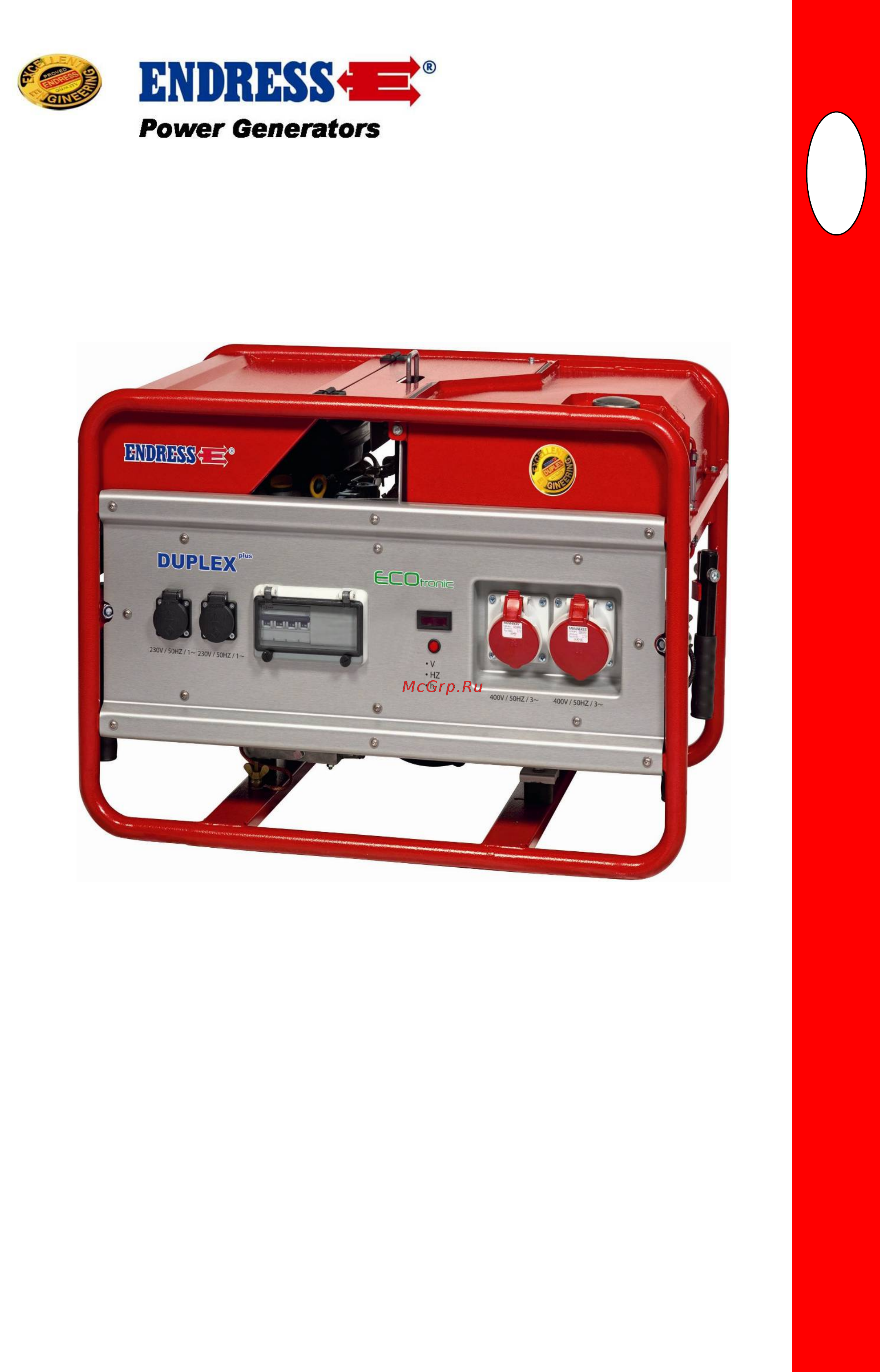 Endress ese 1506 dsg-gt/a es duplex 113217 Инструкция по эксплуатации онлайн