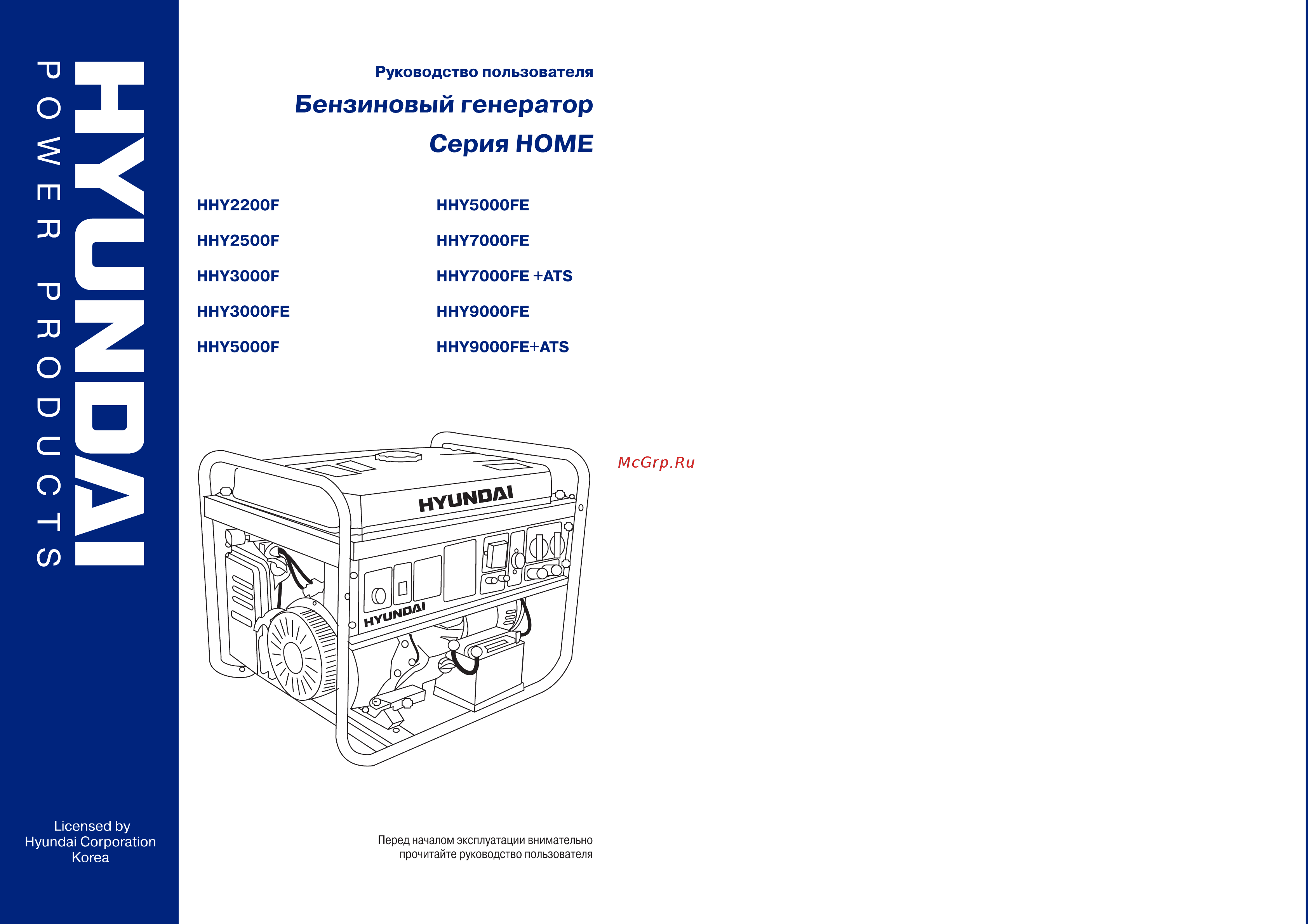 Hyundai HHY 3000FE Инструкция по эксплуатации онлайн