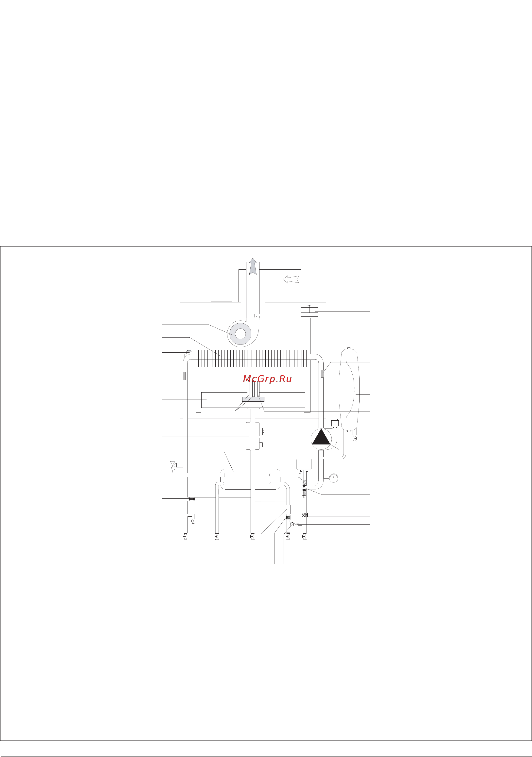 Ariston BS II 24 FF [10/24] Гидравлическая схема