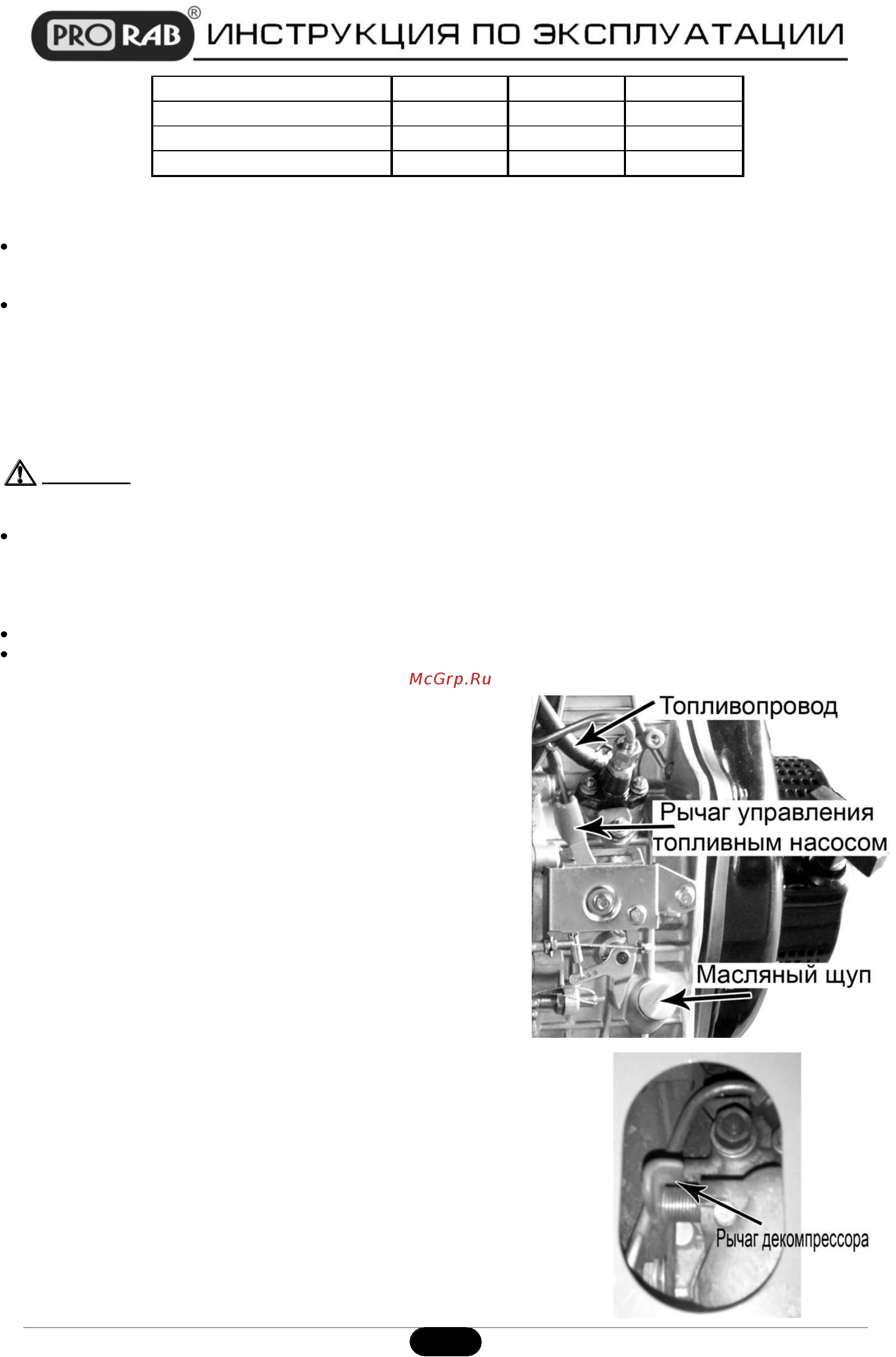 Prorab 2001 d [9/16] Масляный щуп