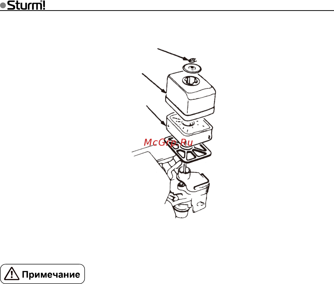 Sturm PC8808H Инструкция по эксплуатации онлайн [18/26] 495830