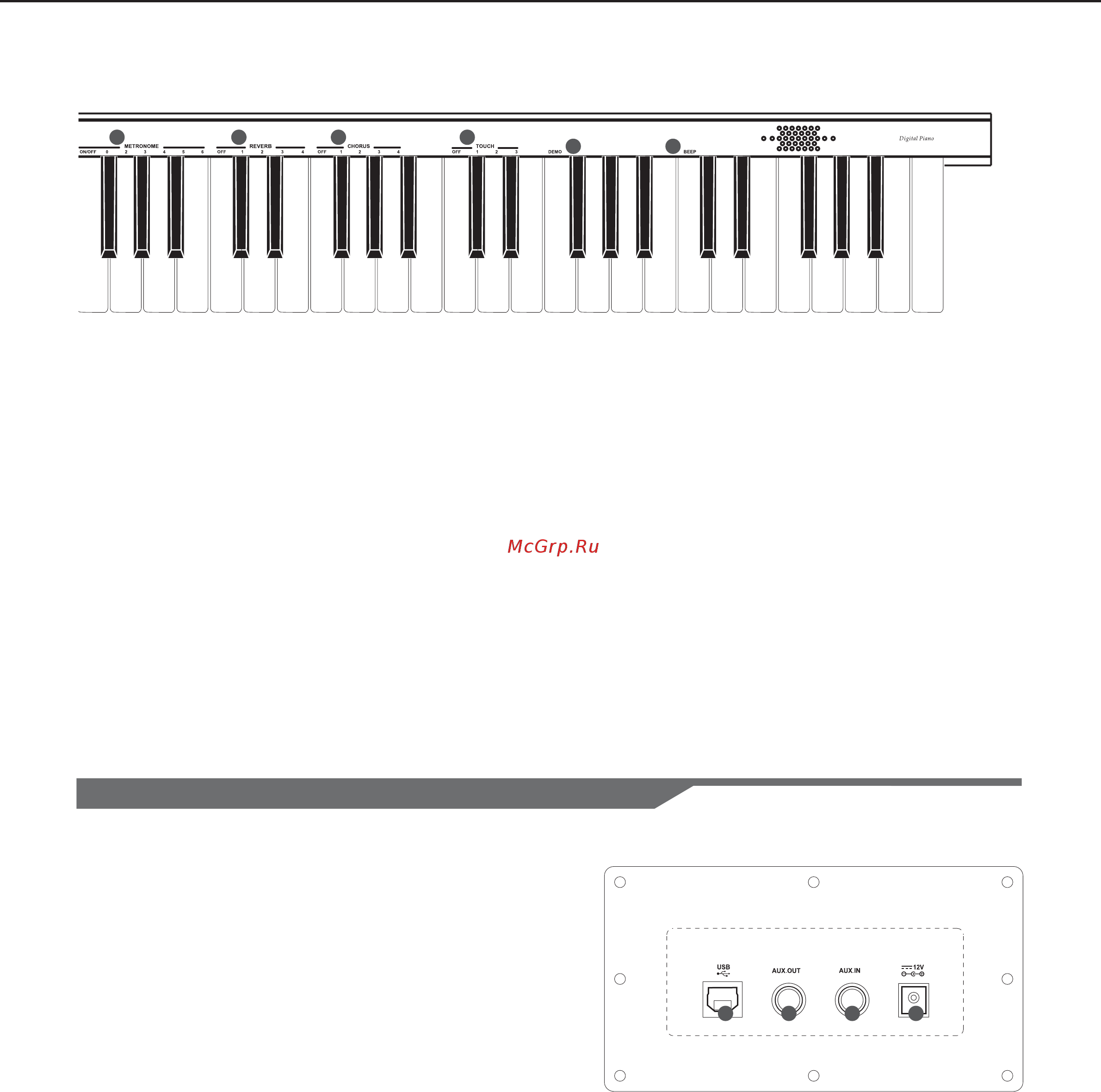 Medeli DP 10 [5/16] Panel description
