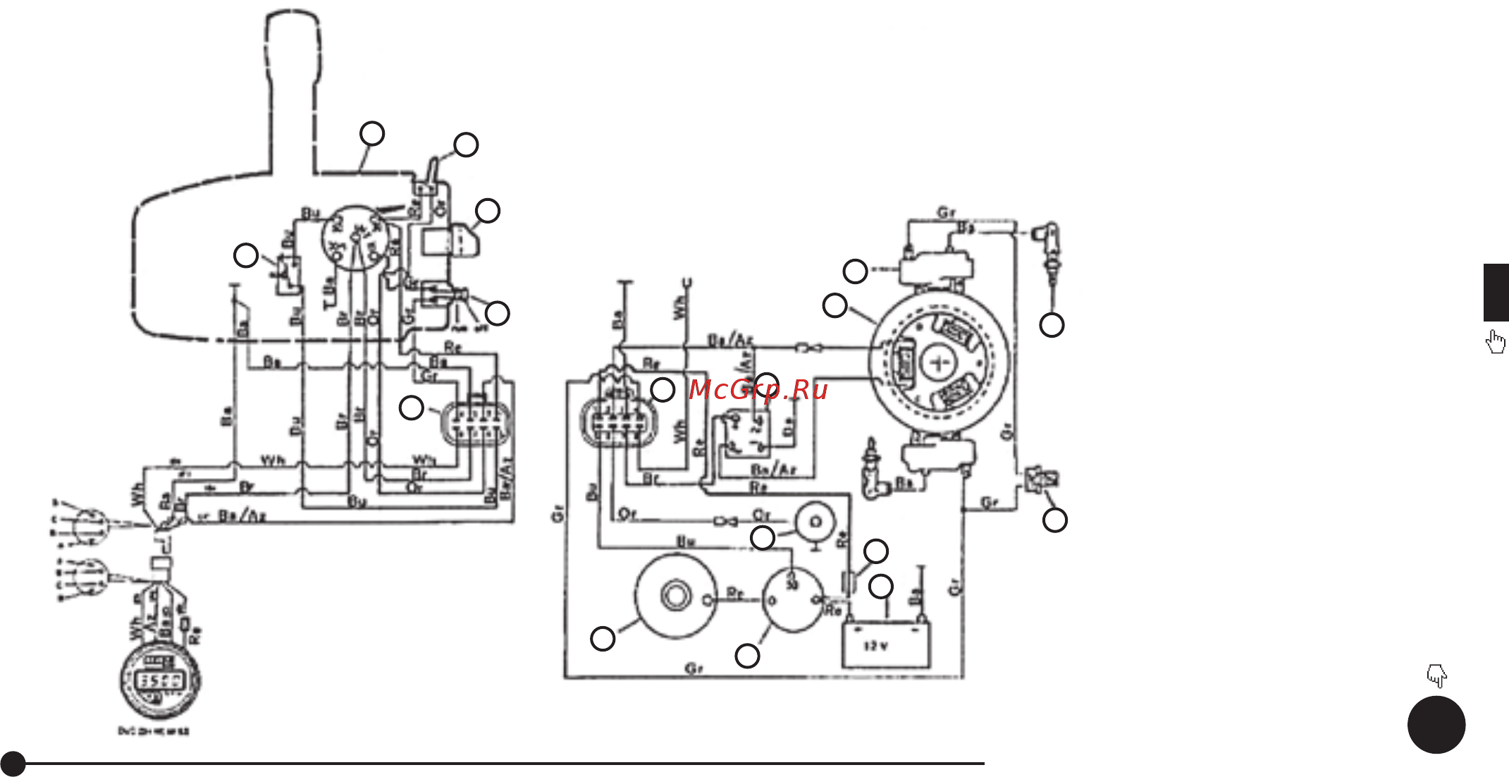Baltmotors T9.9 BM [26/58] Электрическая схема двигателя