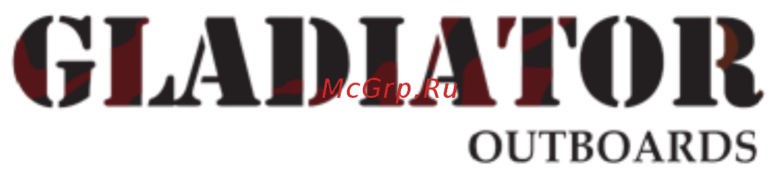 Gladiator GF 2.5 Инструкция по эксплуатации онлайн