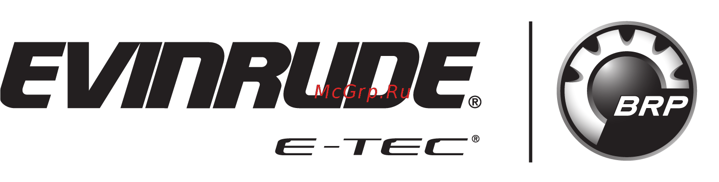 Evinrude E130 Инструкция по эксплуатации онлайн [46/88] 201580