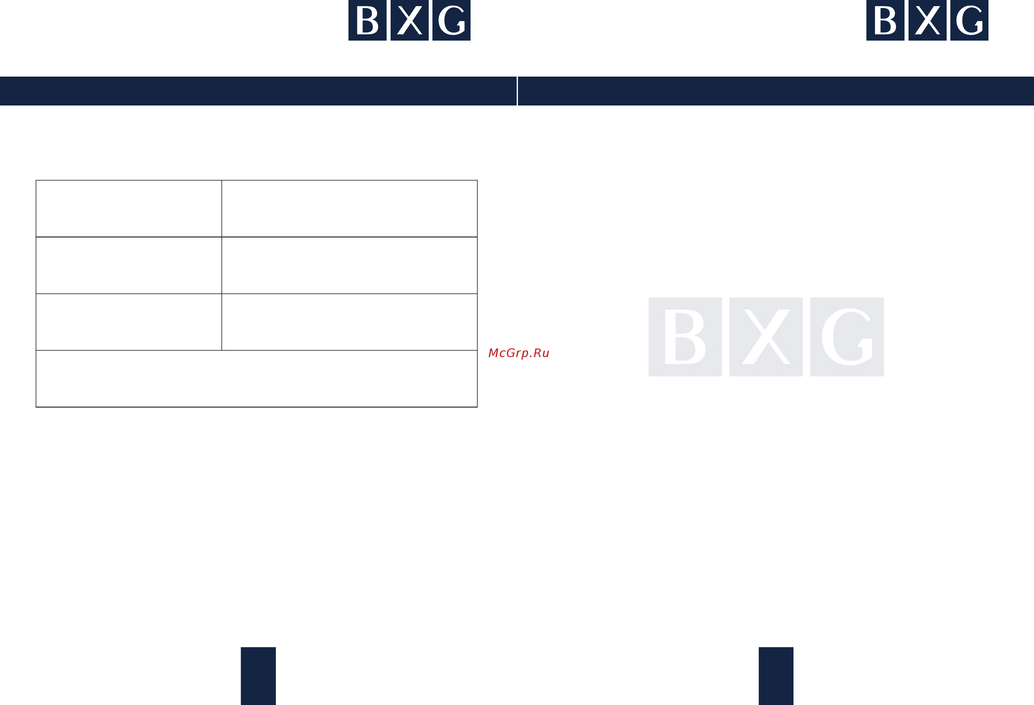 BXG JET 5500 [3/8] Страница 3