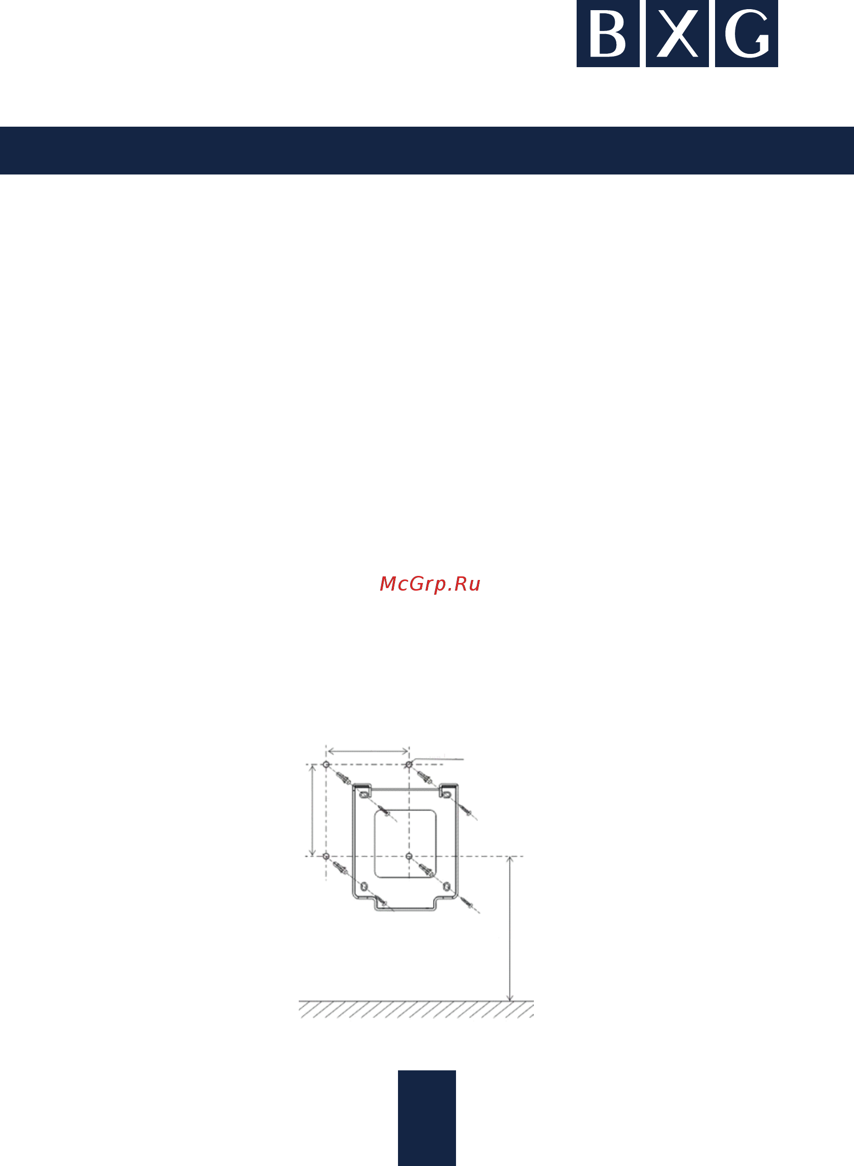 BXG BXG-JET-5300A [8/15] Www bxg pro ru