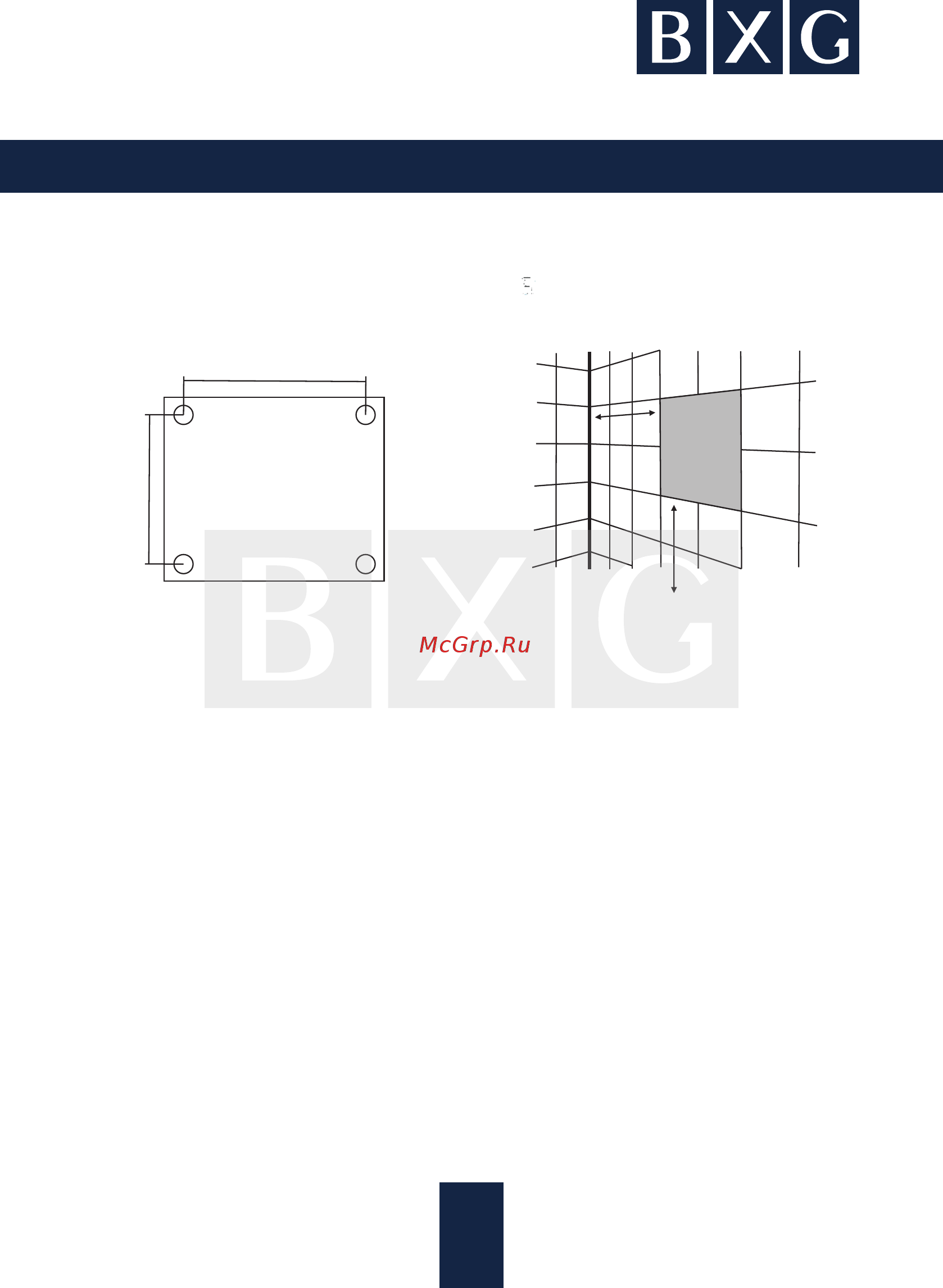 BXG BXG-275A [9/14] Рисунок 3