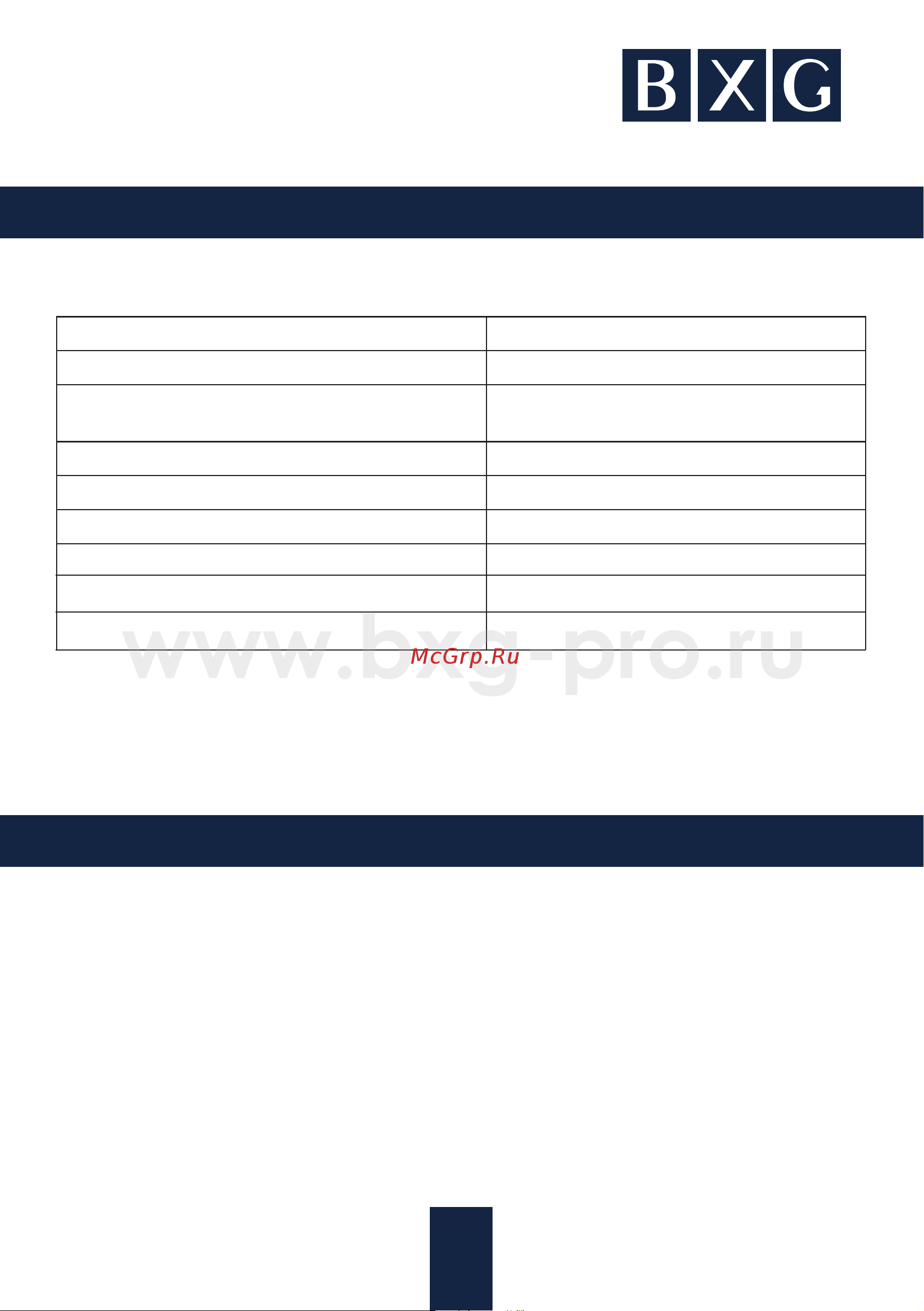 BXG BXG-2000 A1 [6/12] Страница 6