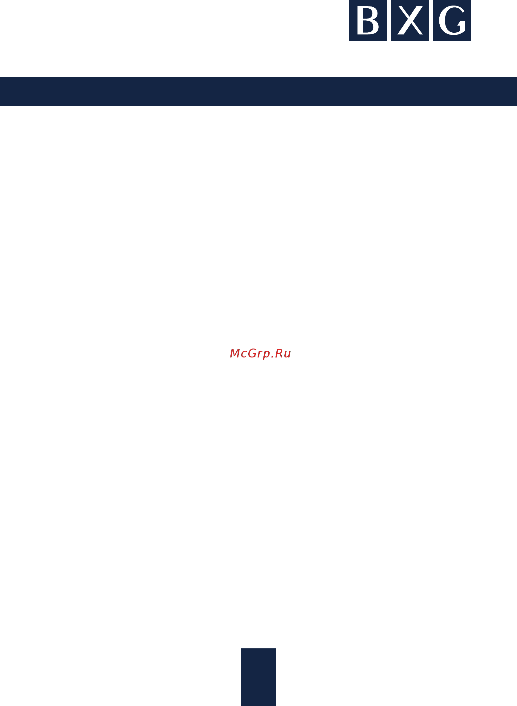 BXG BS1 1849231 [2/12] Страница 2