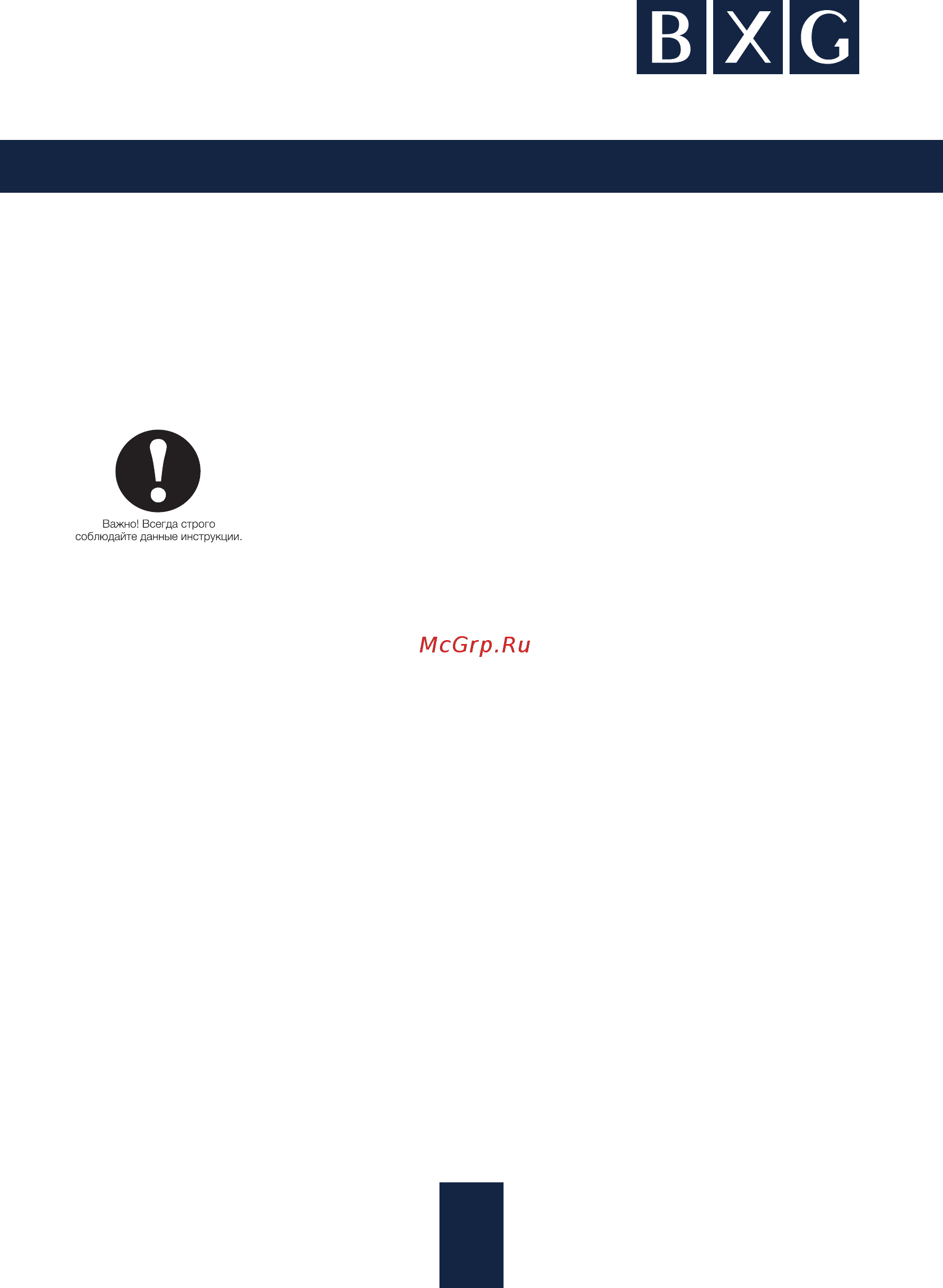 BXG BS1 1849231 [4/12] Правила безопасности