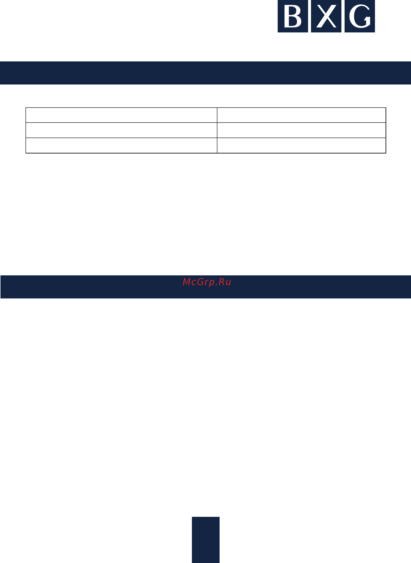 BXG BS1 1849231 [6/12] Страница 6