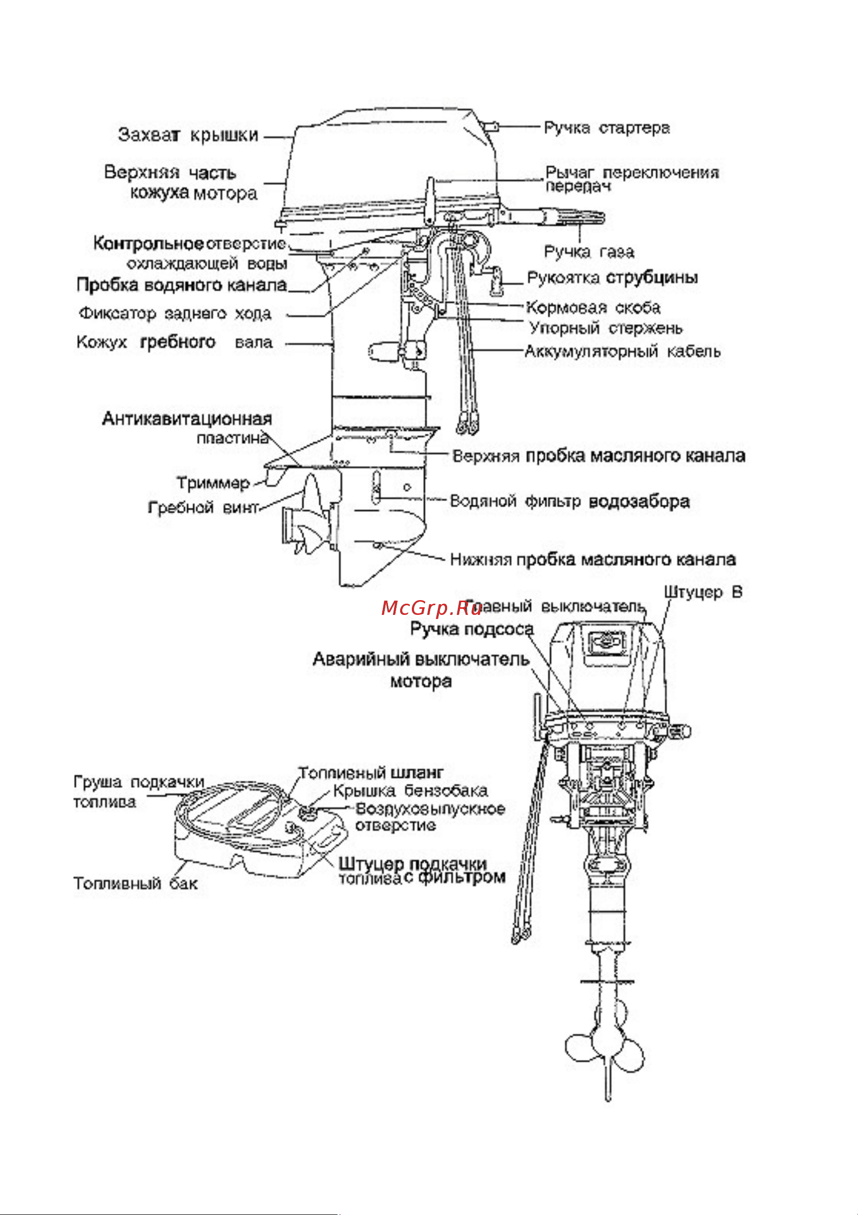 Tohatsu M 30 Н EPS Руководство по эксплуатации онлайн [11/58] 634310