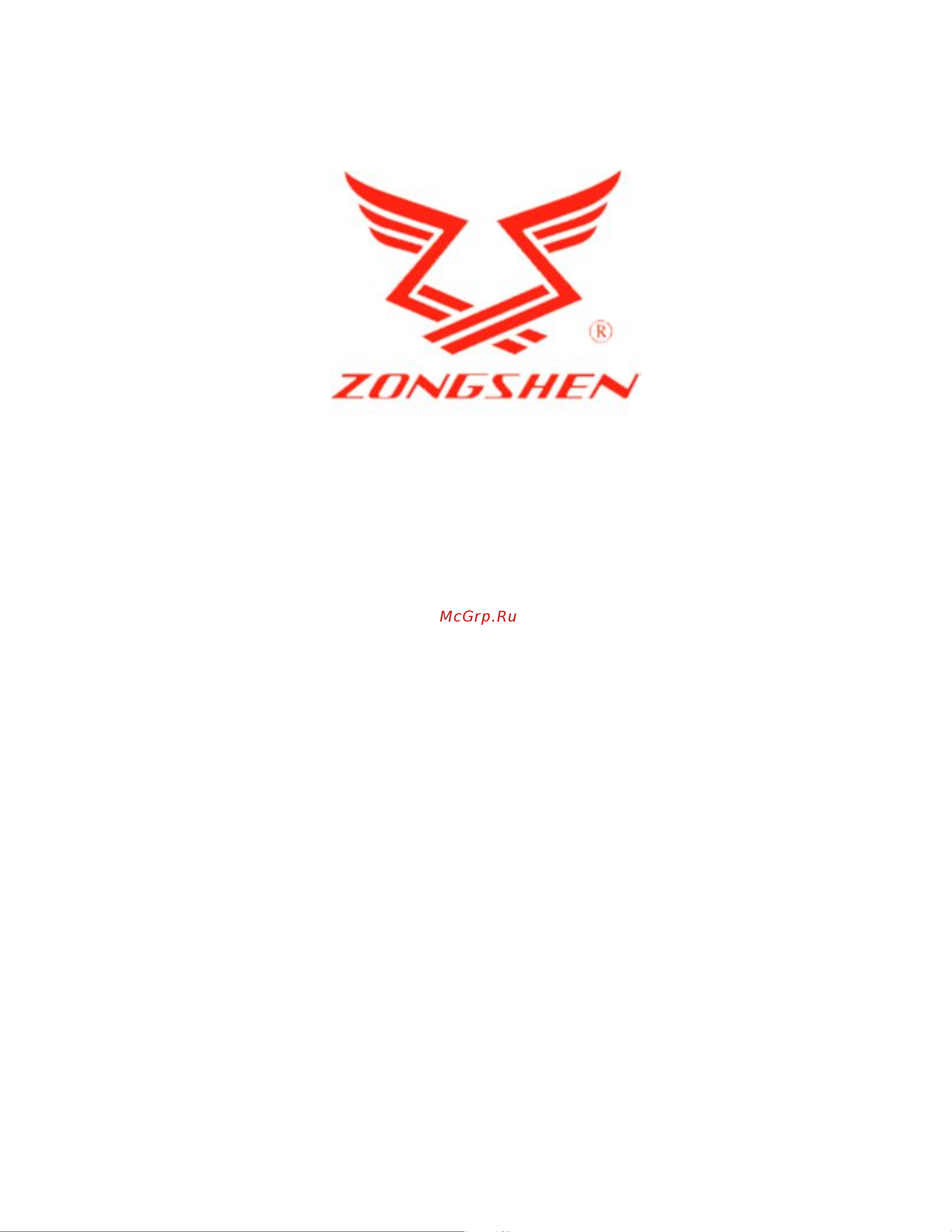 Zongshen T 9,9 BMS Руководство пользователя онлайн