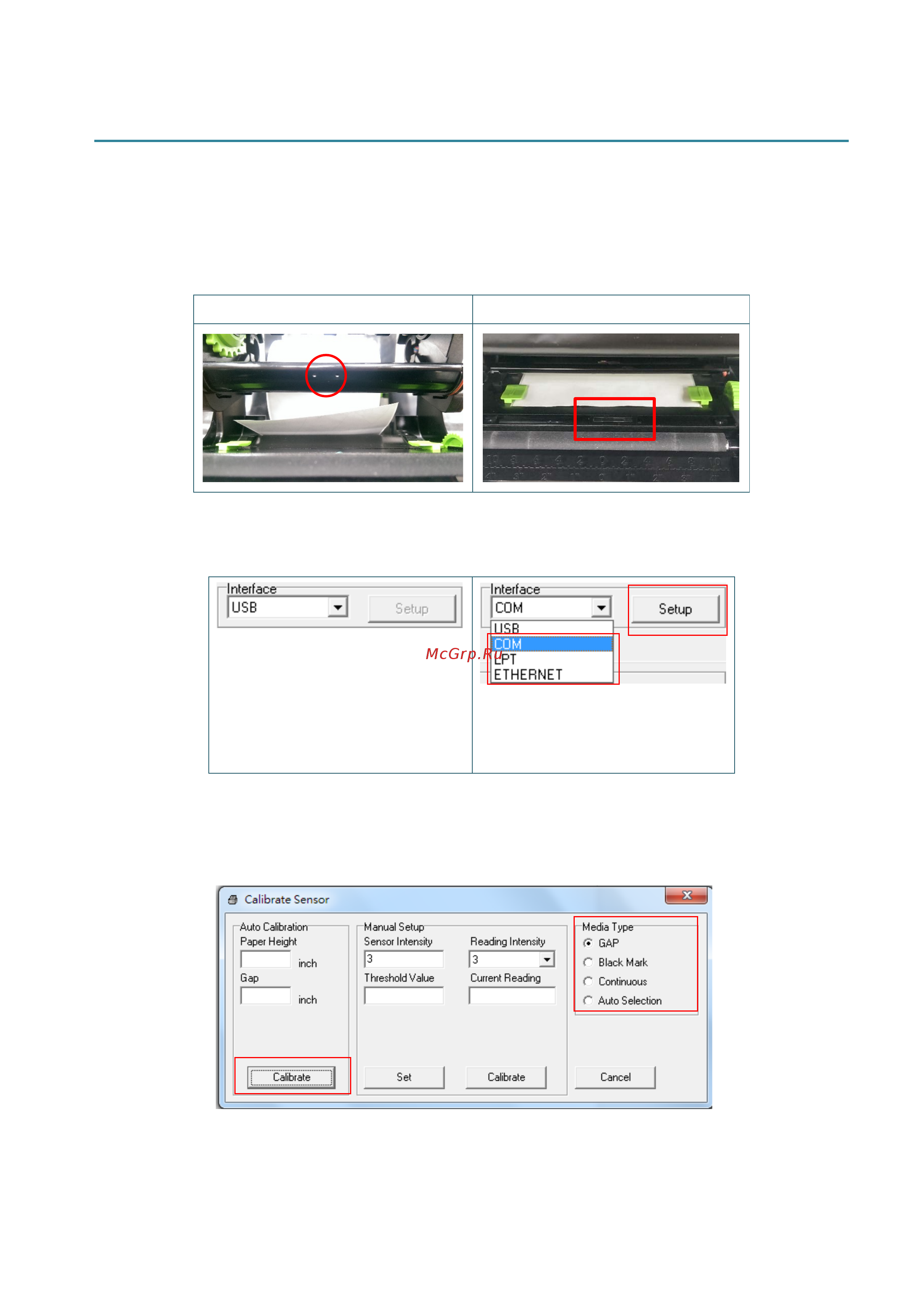 TSC TE300 [35/40] Calibrating media sensor by diagnostic tool