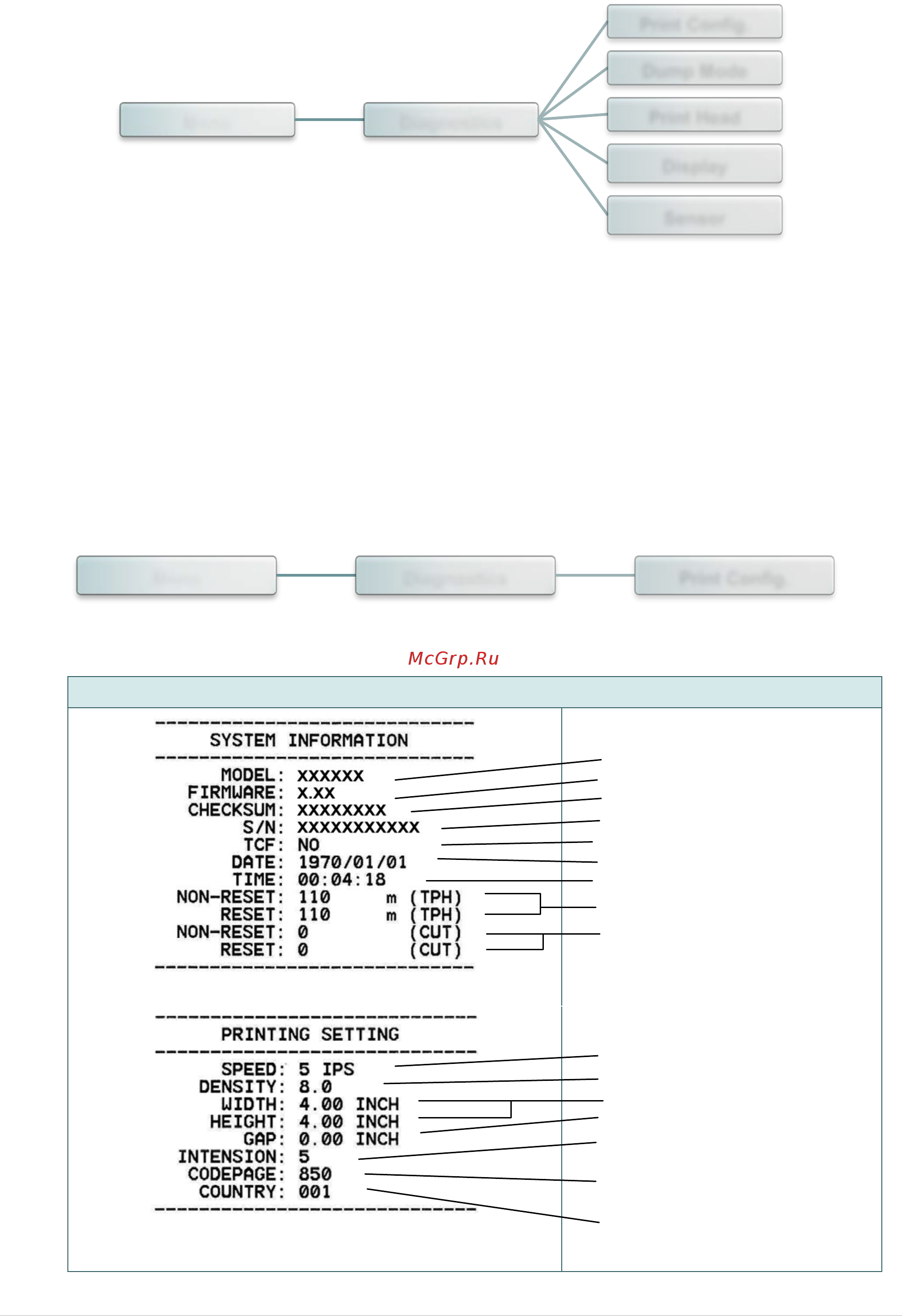 TSC TTP-2410MT [56/89] Diagnostics диагностика