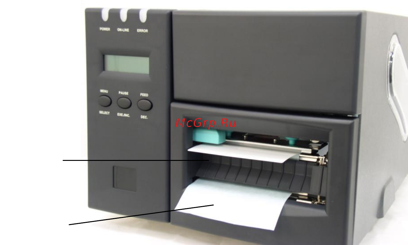 TSC TTP-246M [22/33] Self test