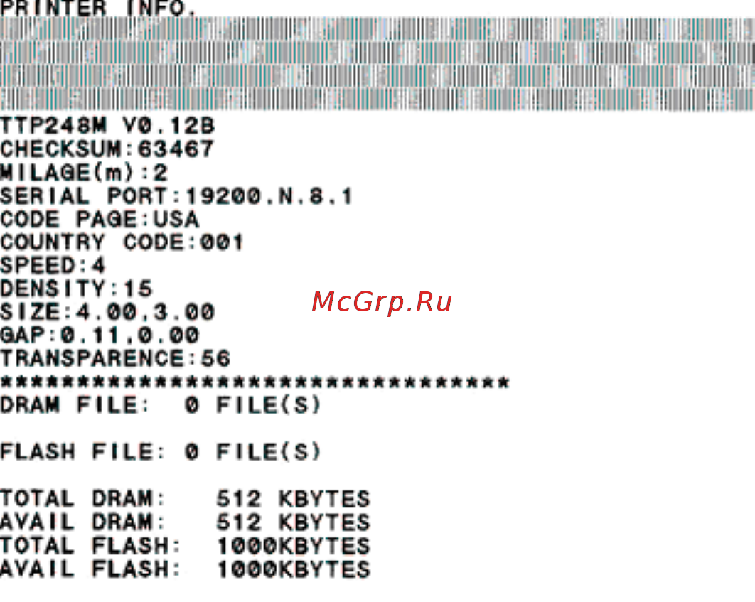 TSC TTP-248M [19/31] Self test