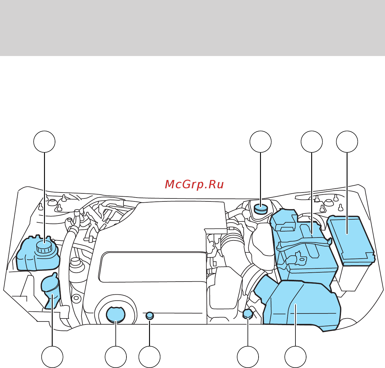 Ford Fusion (2010) [422/500] Обслуживание и спецификации