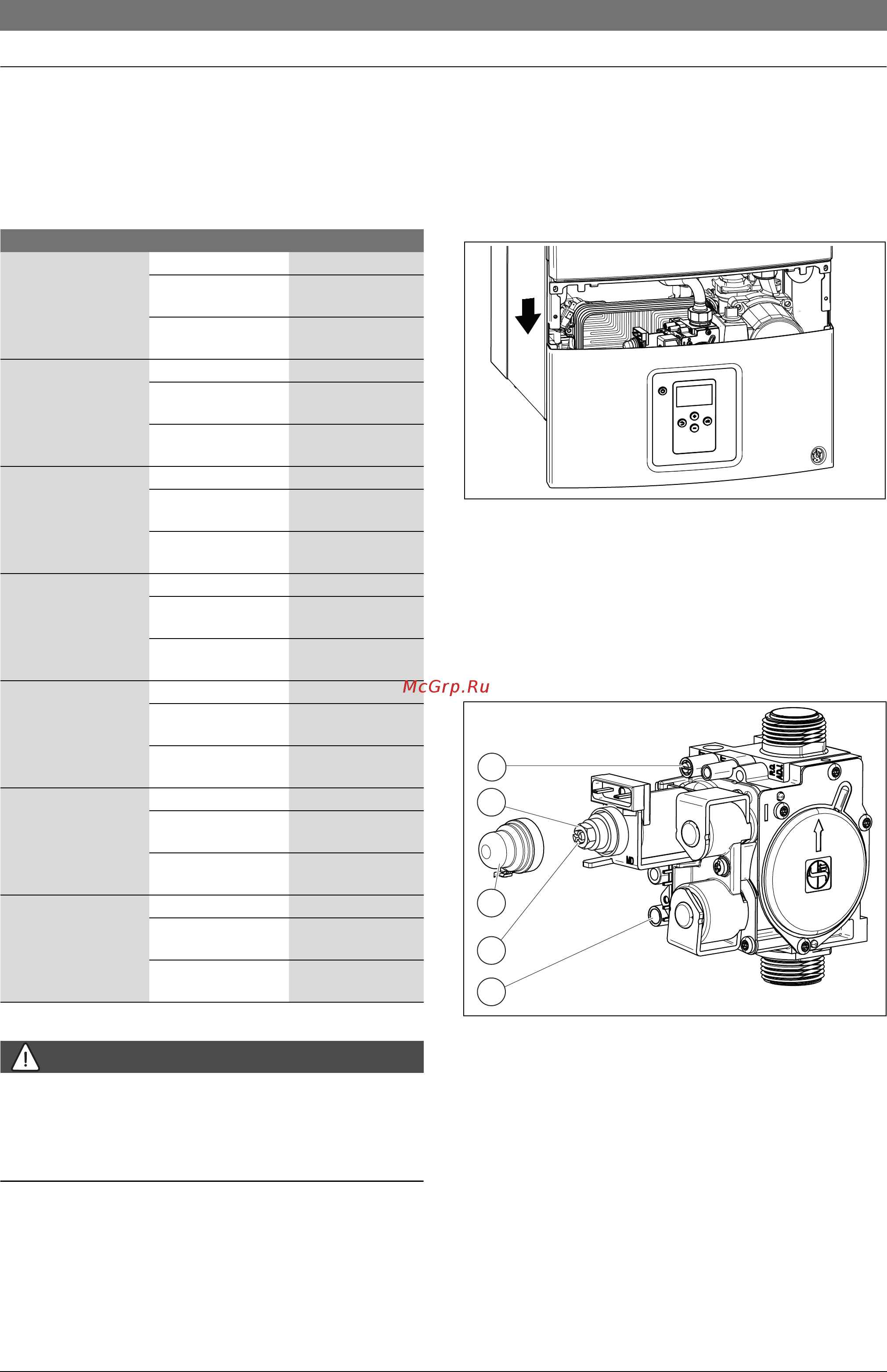 Bosch GAZ6000 W WBN 6000-35C [24/48] Переналадка на другой вид газа