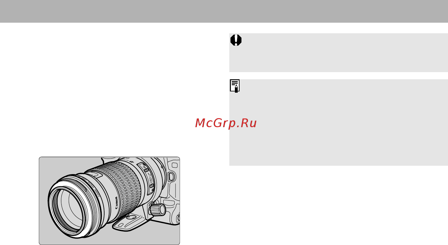 Canon EF180mm f/3.5L MACRO USM [10/16] Вспышка для макросъемки