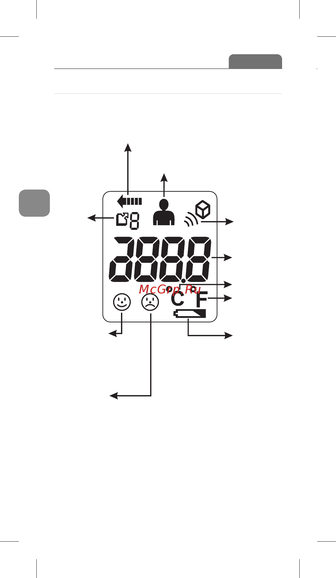 B.Well WF-5000 [10/24] Описание жидкокристаллического дисплея