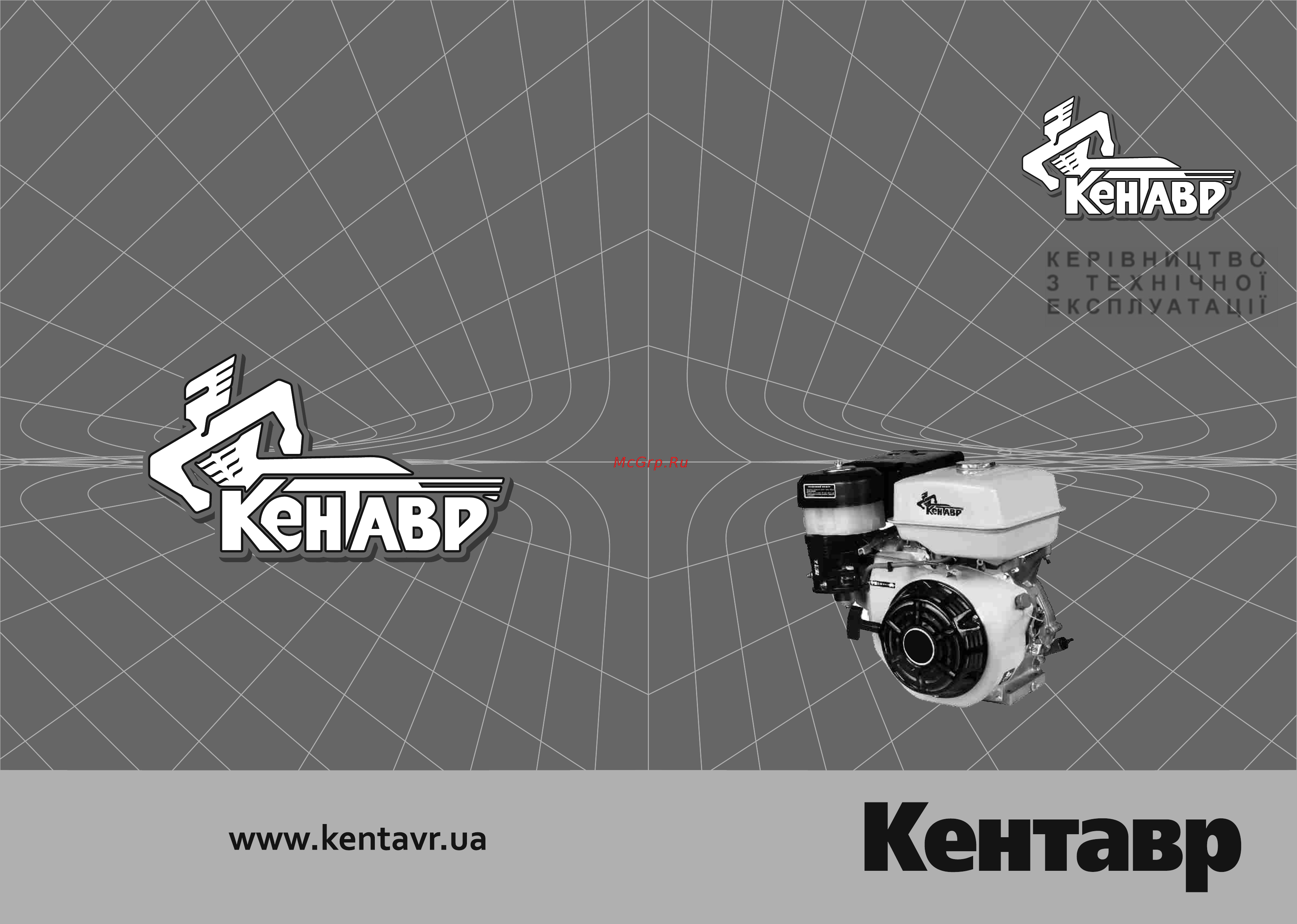 Кентавр ДВЗ-390БШЛ Руководство по эксплуатации онлайн