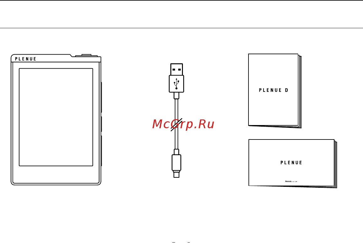 Cowon Plenue D 32Gb черный с серебристой отделкой [7/24] Комплект поставки